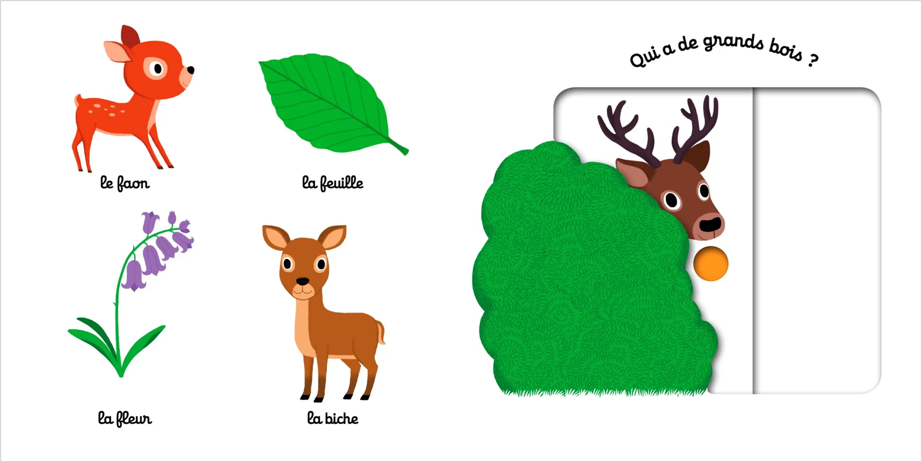 Mon imagier animé Kididoc -  la forêt - nouvelle édition - Dès 1 an - Livre documentaire - 9782095024161 - page-interieure 01