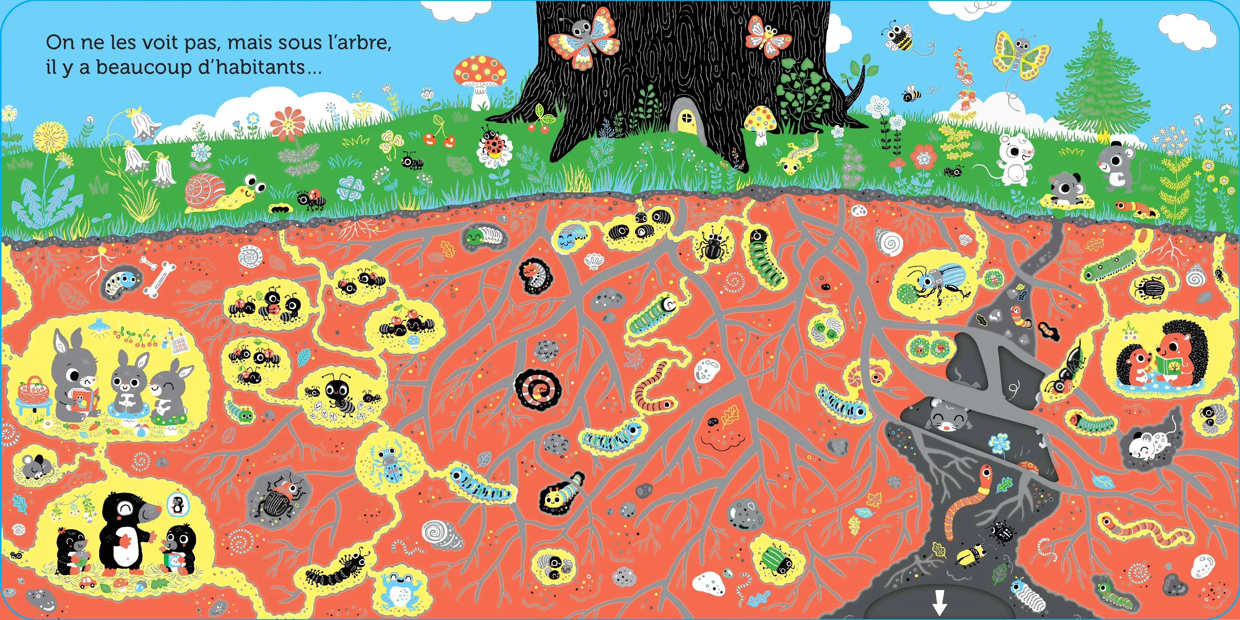 Promenade dans l'arbre - livre animé pour les bébés - dès 6 mois - Livre d'éveil - 9782095024383 - page-interieure 01