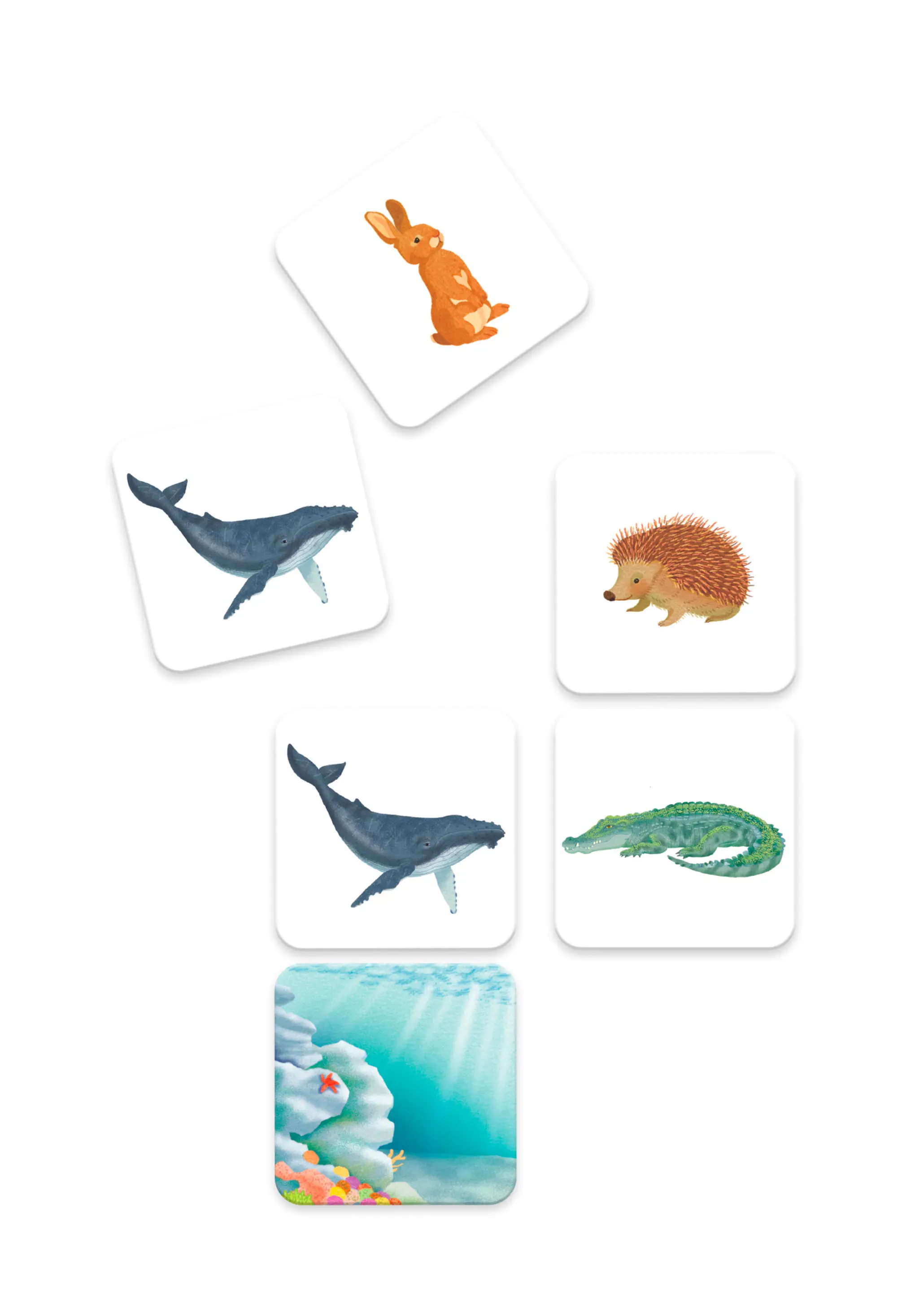 Tout-petit Montessori - Animaux - mon coffret de mise en paires - Dès 15 mois - Coffret - 9782095028299 - page-intérieure 01
