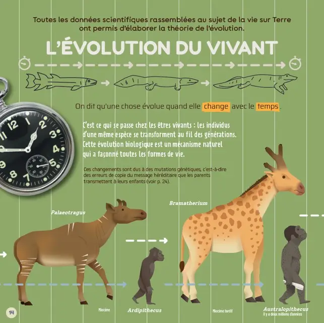 Pr. Darwin : L'évolution, même pas peur ! - une explication simple de la théorie de l'évolution - dès 9 ans - Livre documentaire - 9782095037000 - page-interieure 01
