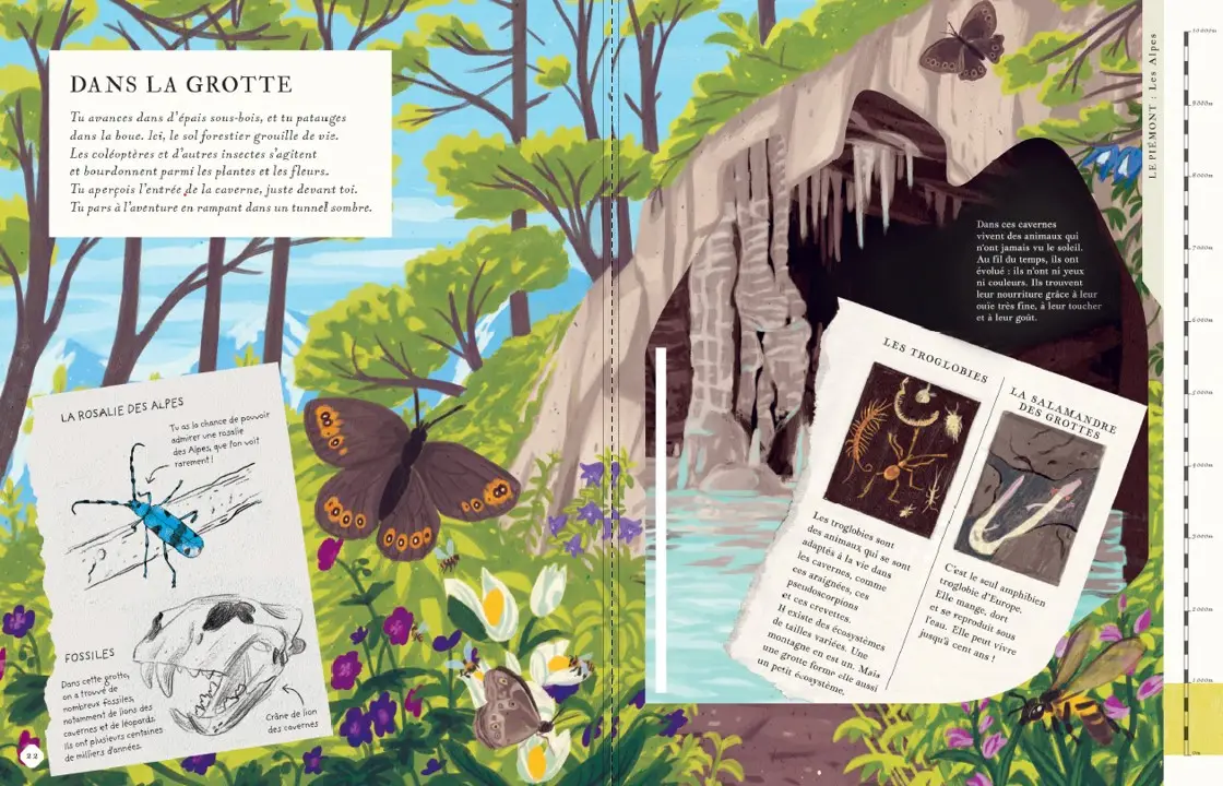 Il y a une montagne dans ce livre - un magnifique album avec des pages panoramiques à explorer à partir de 7 ans - Livre documentaire - 9782095037758 - page-interieure 01