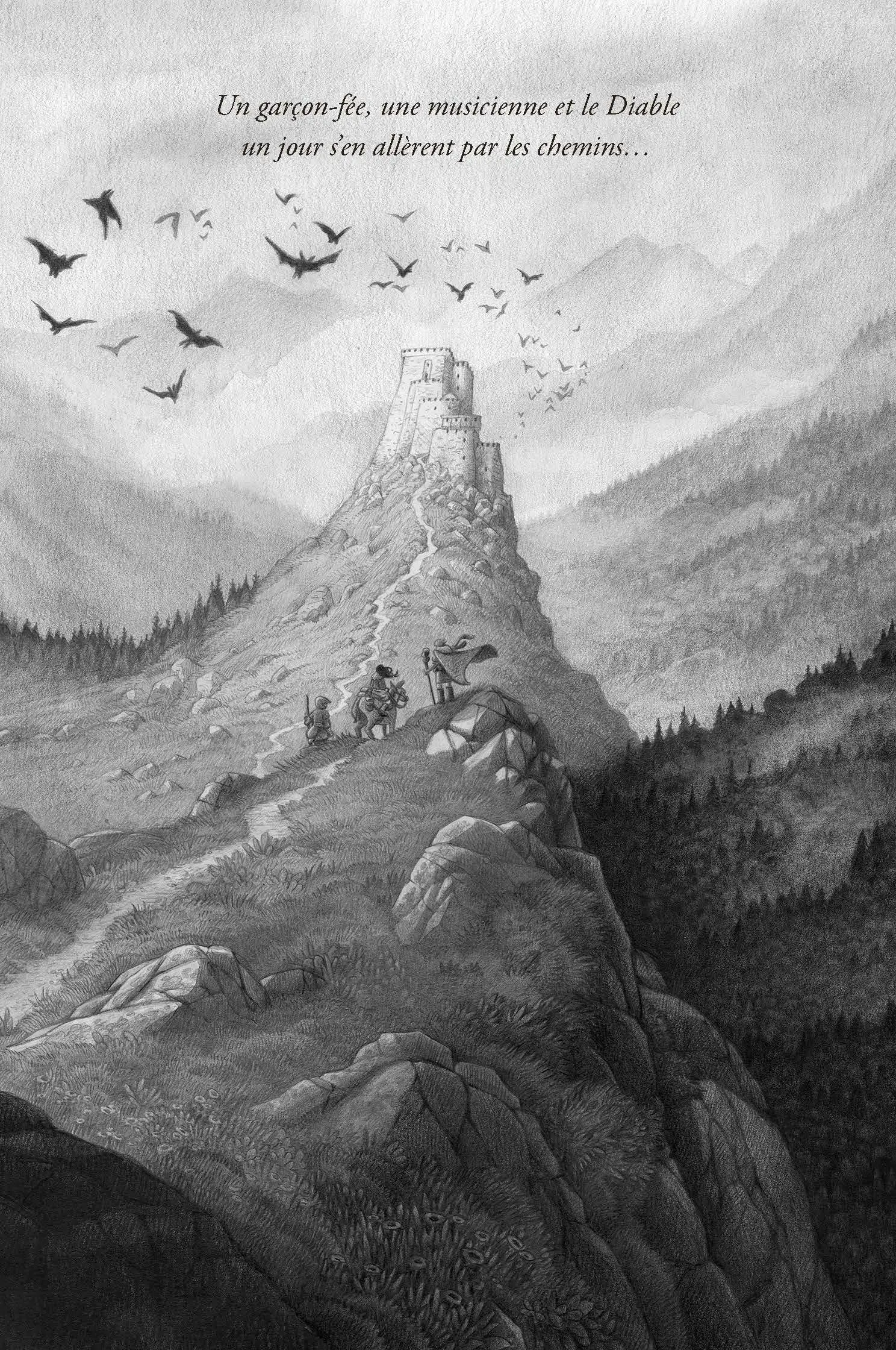 L'héritier des fées - Une fantasy historique au coeur des châteaux cathares - Roman - 9782095037949 - page-interieure 01