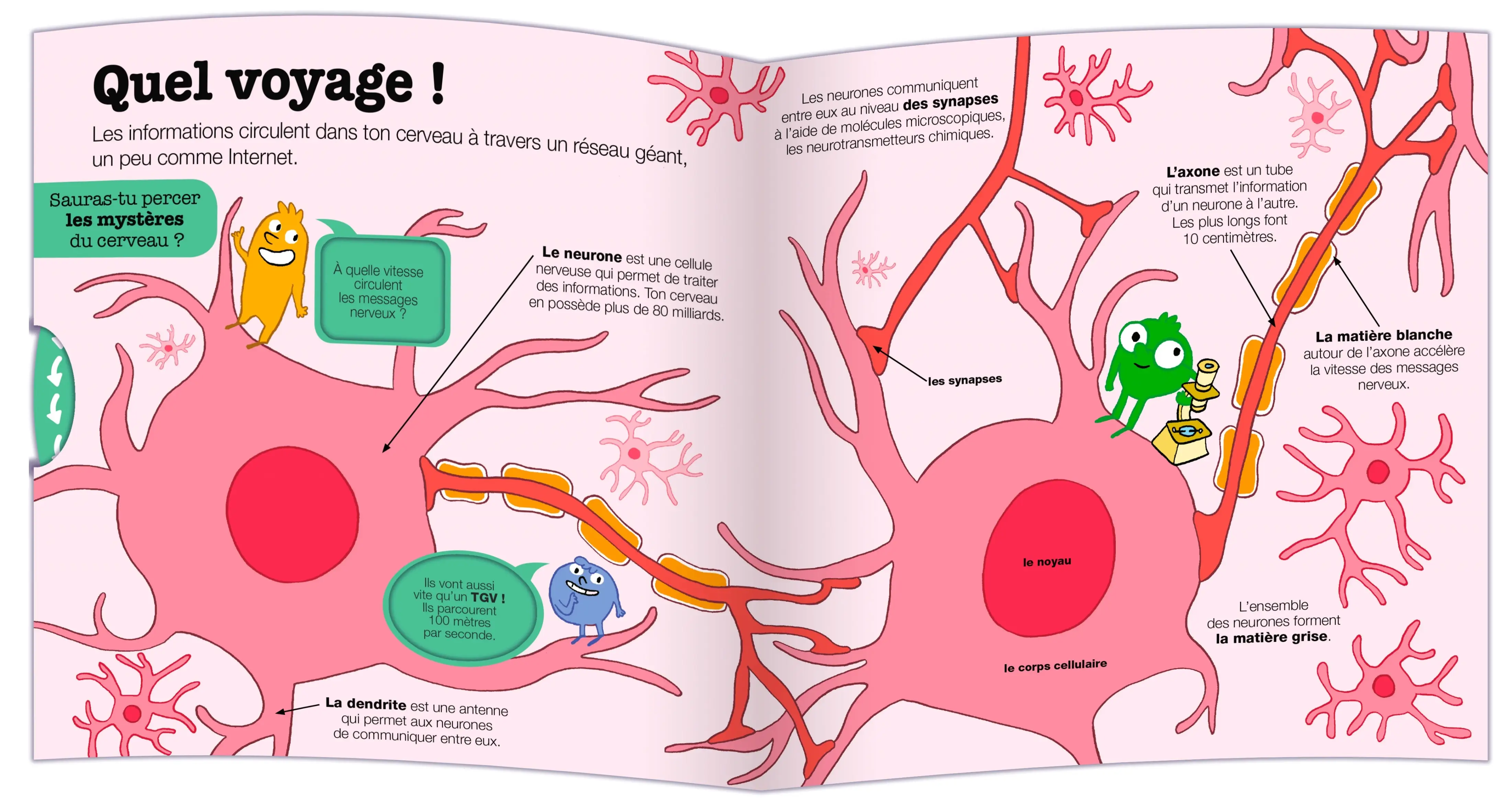 Kididoc - Explore ton cerveau - Un documentaire 100% animé et renouvelé pour tout comprendre sur ton cerveau ! - dès 5 ans - Livre documentaire - 9782095042264 - page-interieure 01