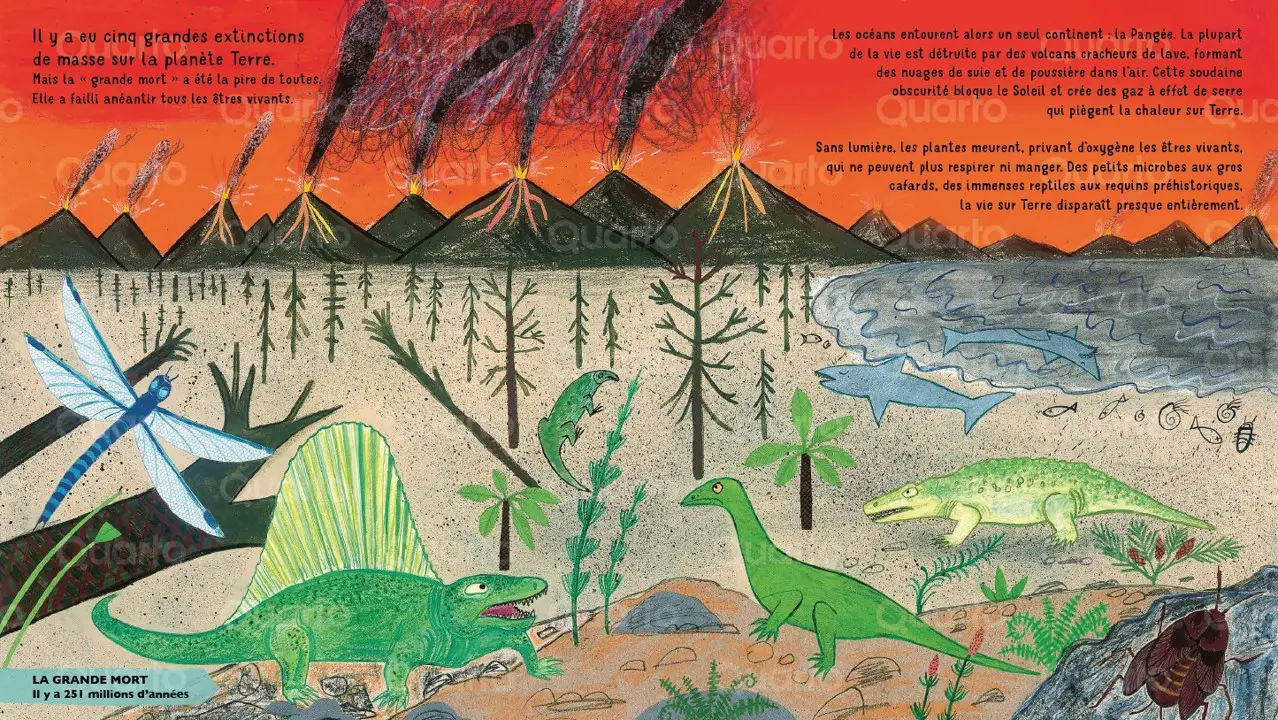 L'incroyable histoire des dinosaures - un voyage fascinant à travers 66 millions d'années, dès 5 ans - Livre documentaire - 9782095043605 - page-interieure 01