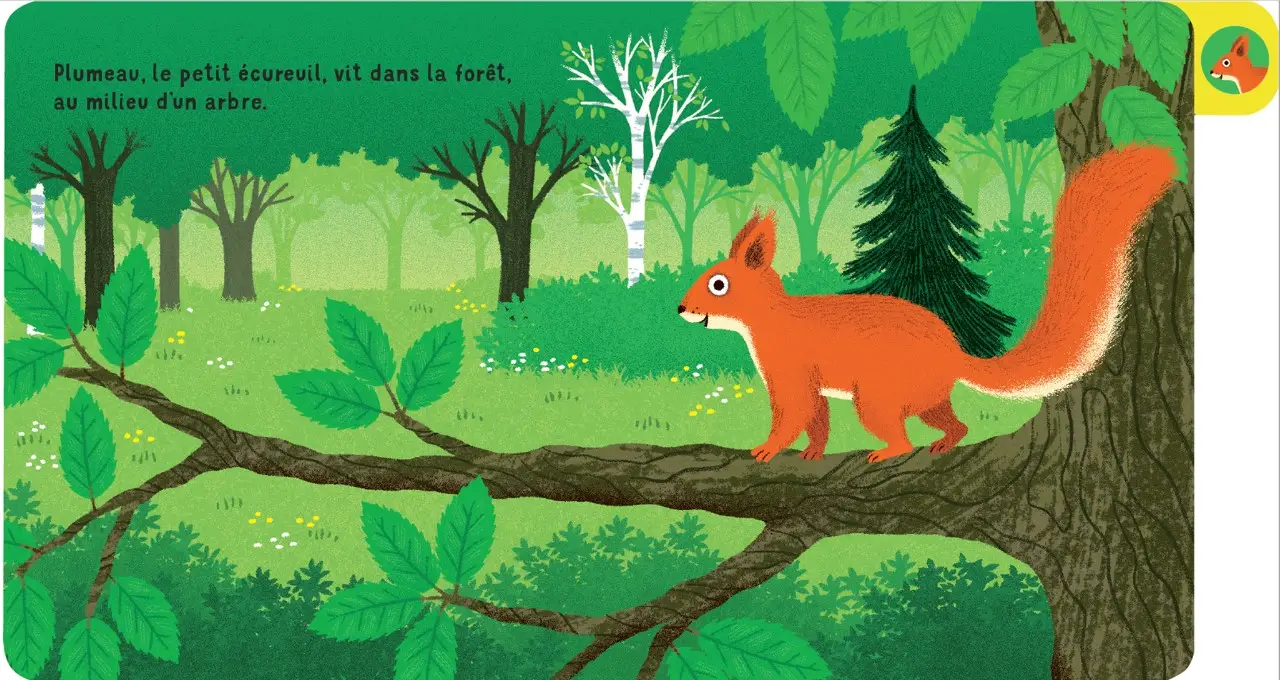 Une journée en forêt - un livre à onglets pour explorer et découvrir la forêt - dès 10 mois - Livre d'éveil - 9782095043827 - page-interieure 01