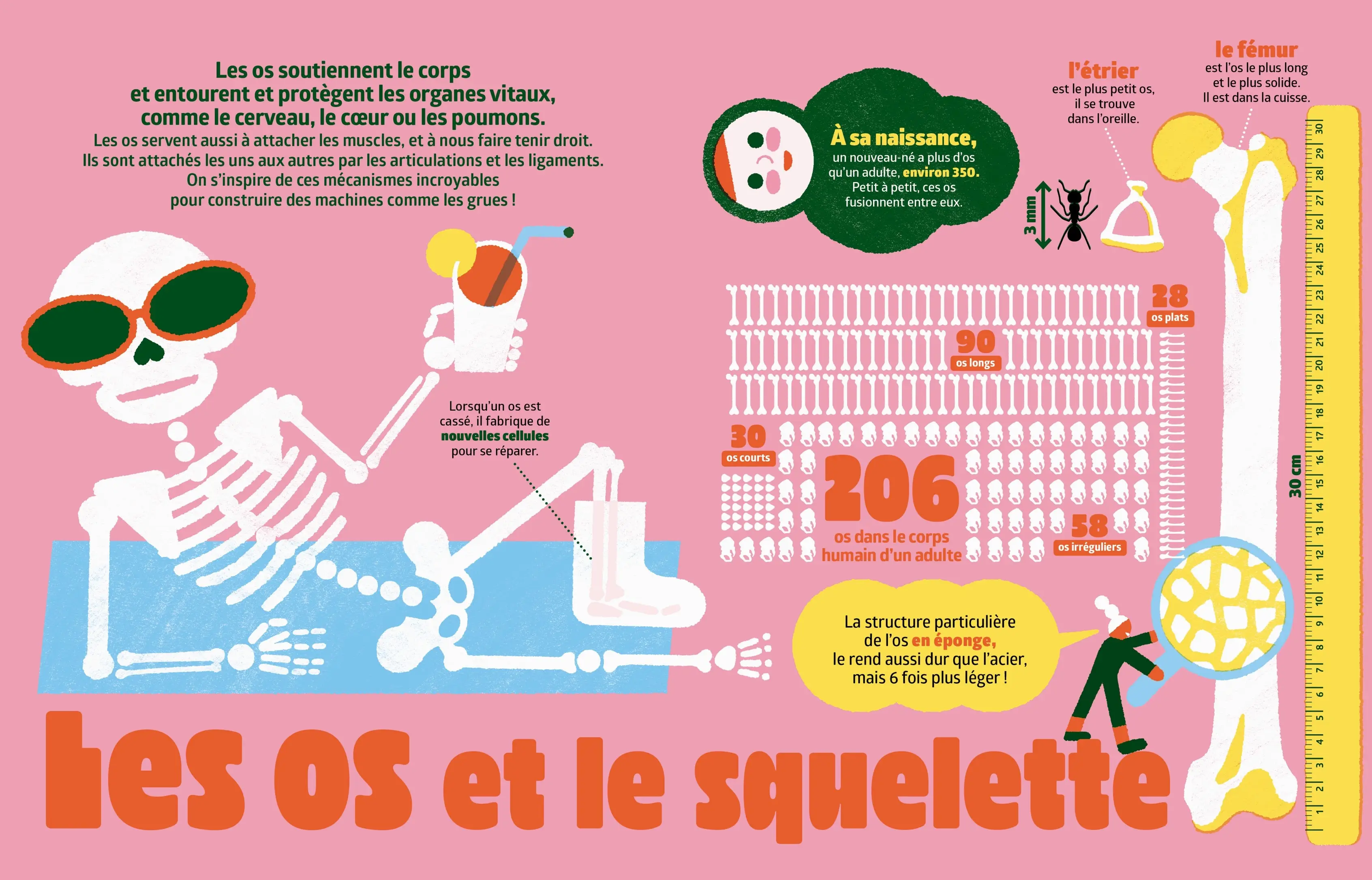 Le corps humain - Plus de 200 informations à découvrir de la pointe des cheveux jusqu'au bout des orteils ! - dès 7 ans - Livre documentaire - 9782095045807 - page-interieure 01