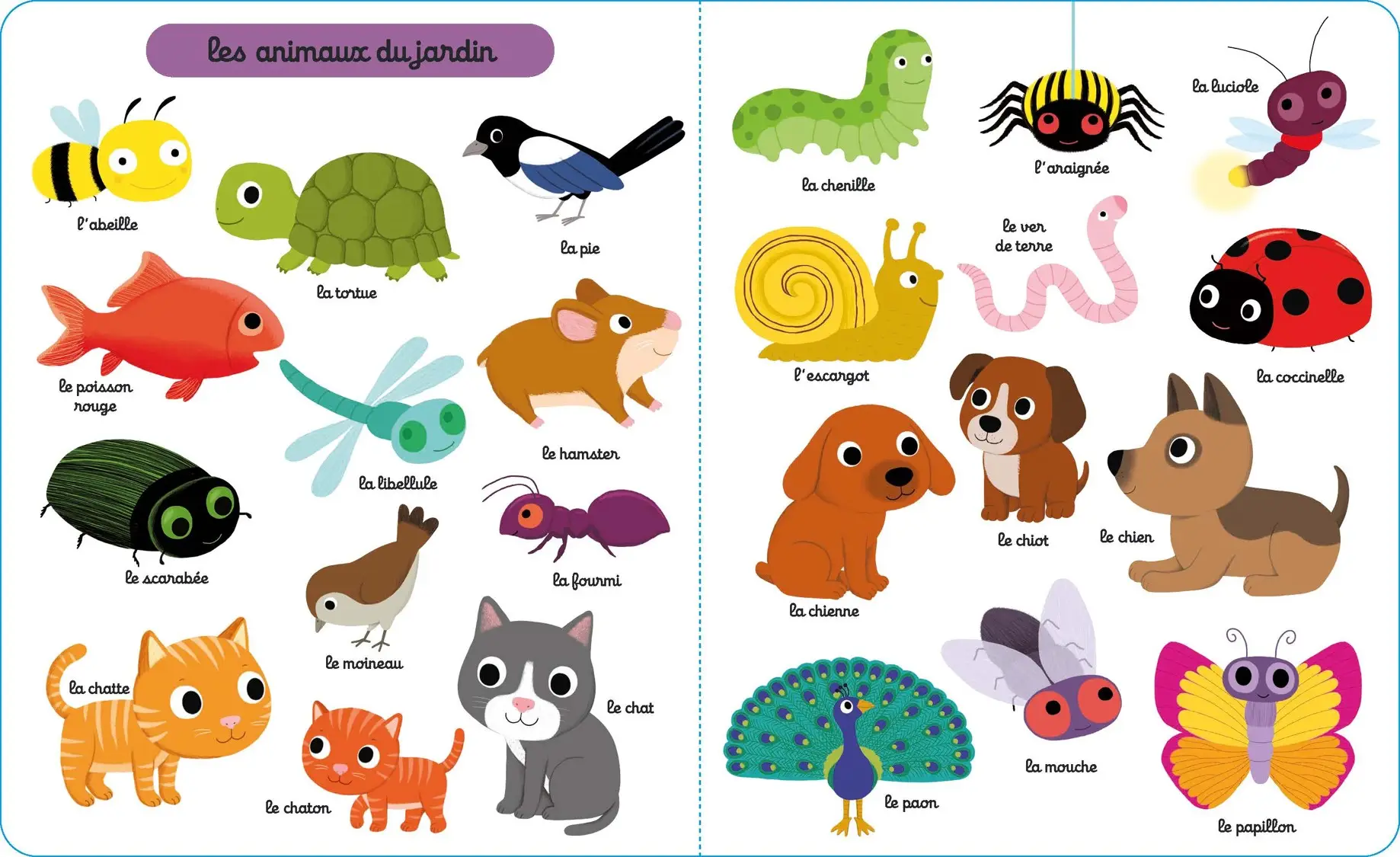 Mon grand imagier des animaux - Plus de 140 animaux à découvrir - dès 1 an - Livre d'éveil - 9782095046033 - page-interieure 01