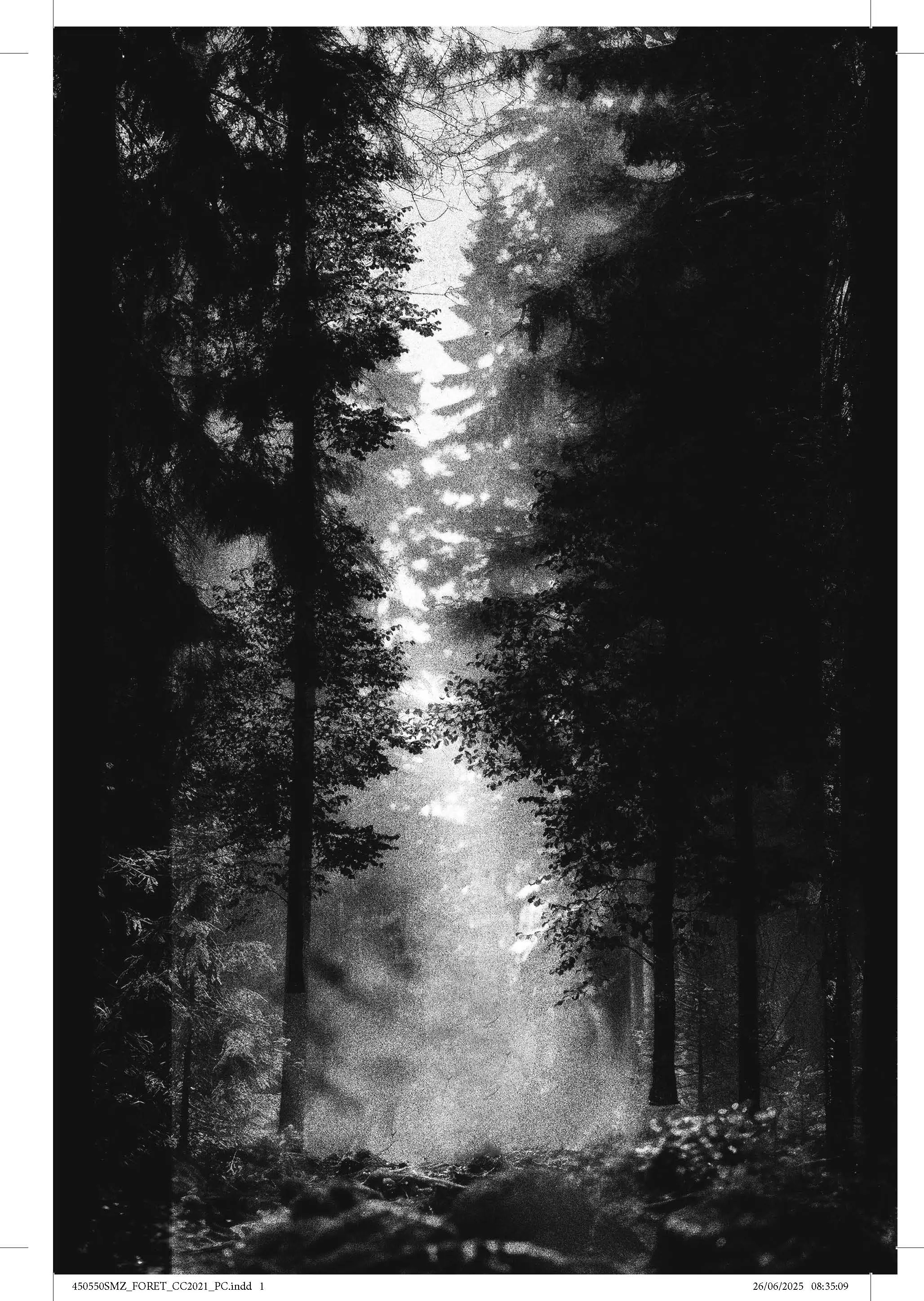 La forêt qui dévore - Un thriller haletant dans un univers contemporain peuplé de loups-garous - Roman - 9782095047535 - page-interieure 01