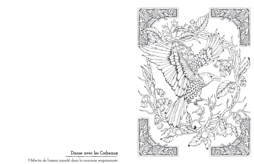 Coloriages Romantasy - Toute la magie de la romantasy en coloriant ! Livre de coloriage pour adultes - Cahier d'activités - 9782095052324 - page-interieure 01