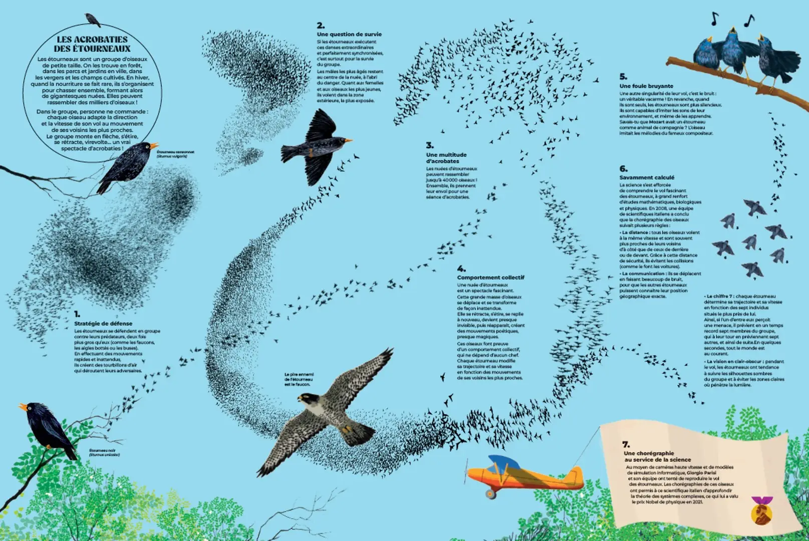 Chorégraphies animales - Pour découvrir les migrations et les ballets les plus spectaculaires de la nature - Dès 7 ans et beaucoup plus - Livre documentaire - 9782095057855 - page-interieure 01