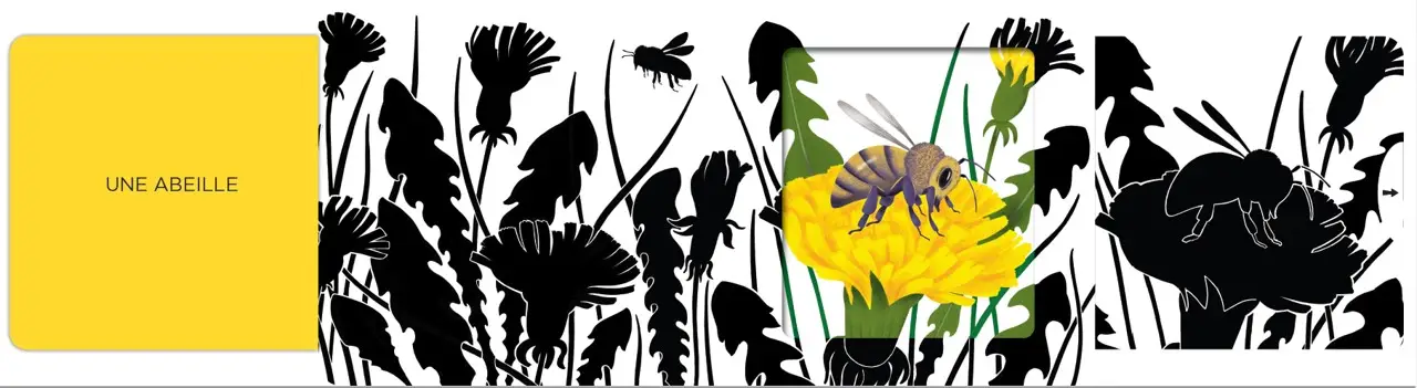 Insectes - Un livre animé avec des silhouettes dans des décors chatoyants - Dès 6 mois - Livre d'éveil - 9782095058241 - page-interieure 01