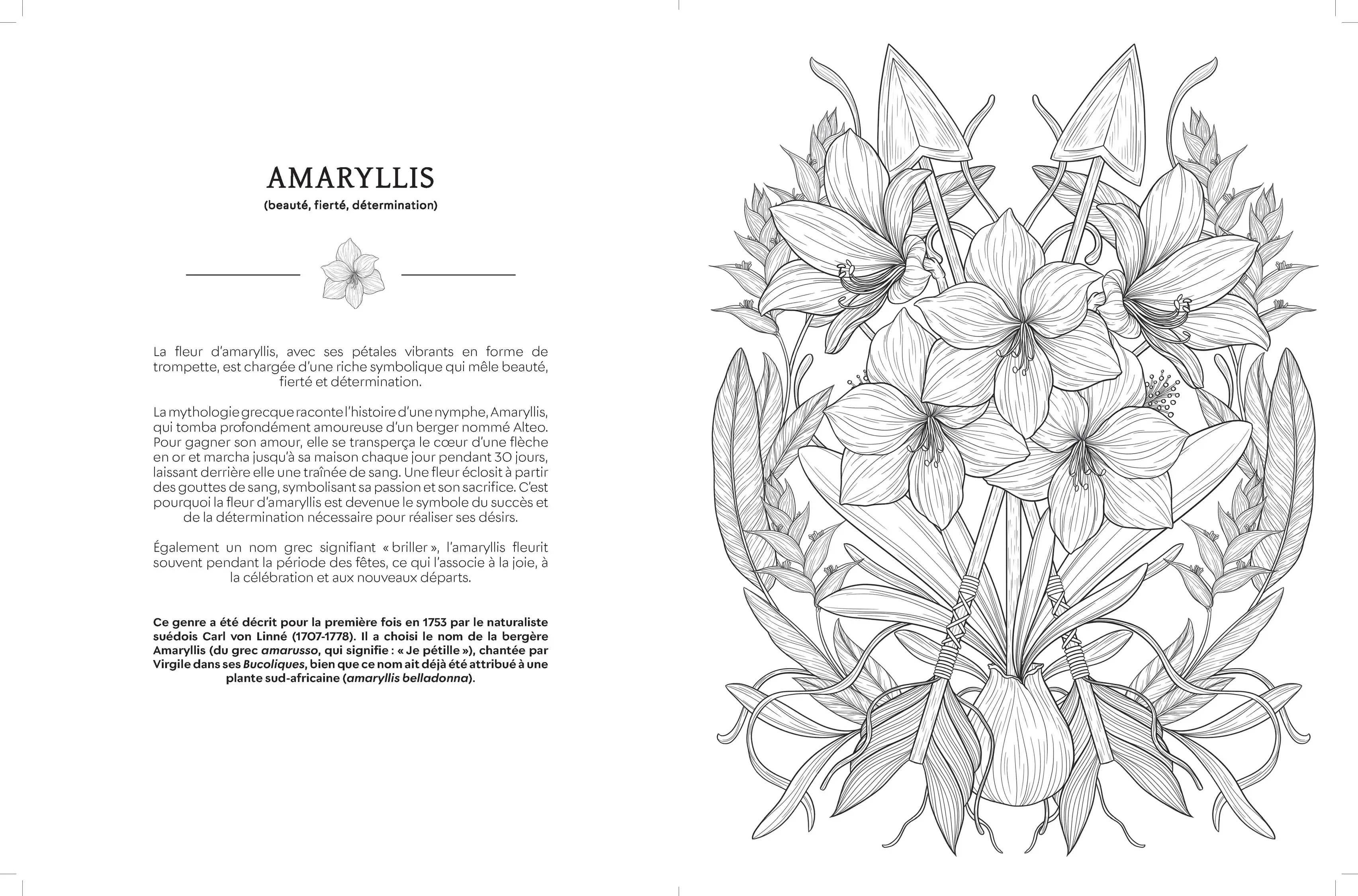 Le langage secret des fleurs - L'art de colorier est aussi dans la nature ! - Adulte - Cahier d'activités - 9782095062507 - page-interieure 01