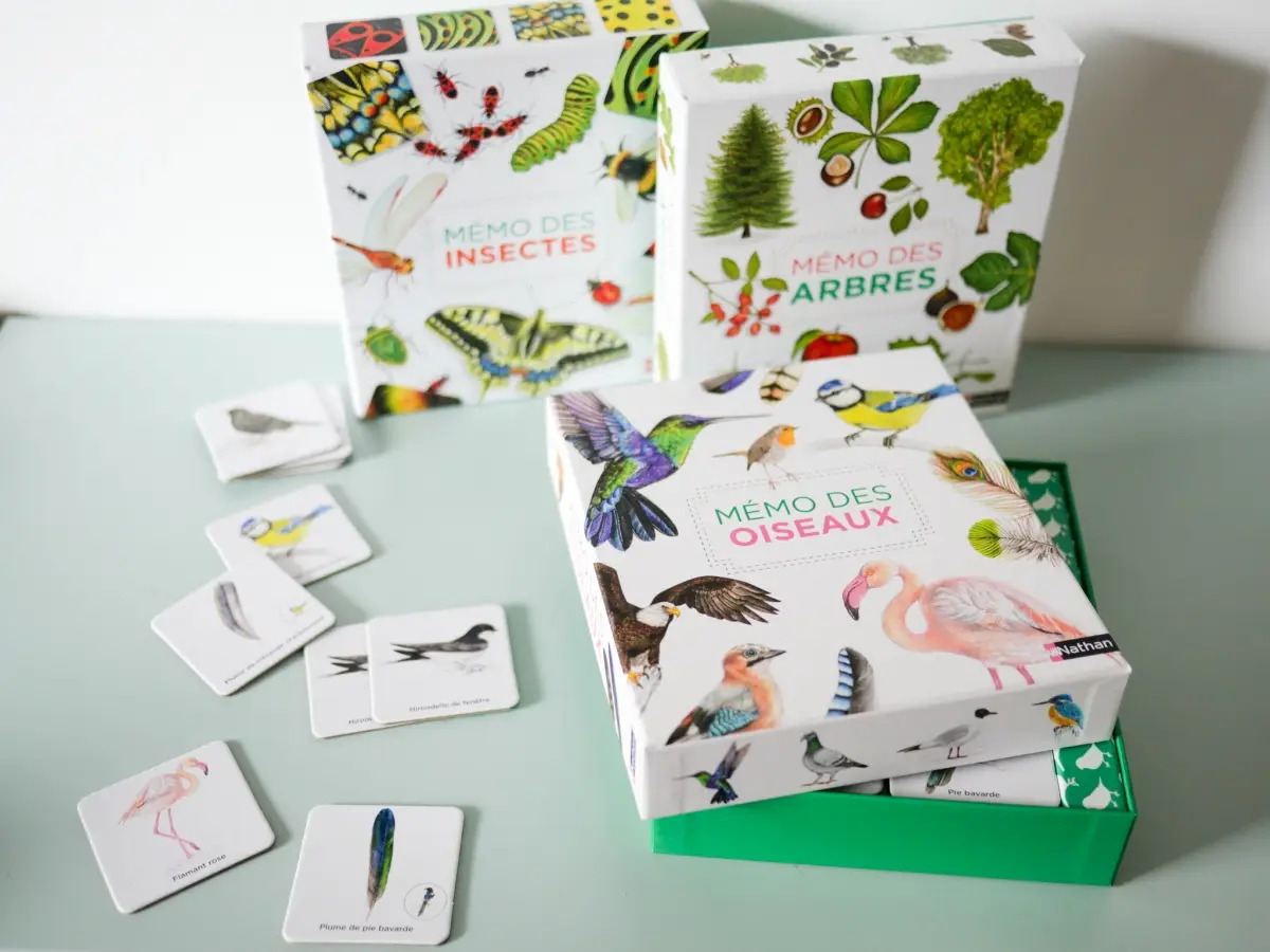 Mémo des oiseaux - Un jeu de memory pour apprendre en s'amusant en famille - Dès 4 ans - Coffret - 3133092496196 - page-interieure 02
