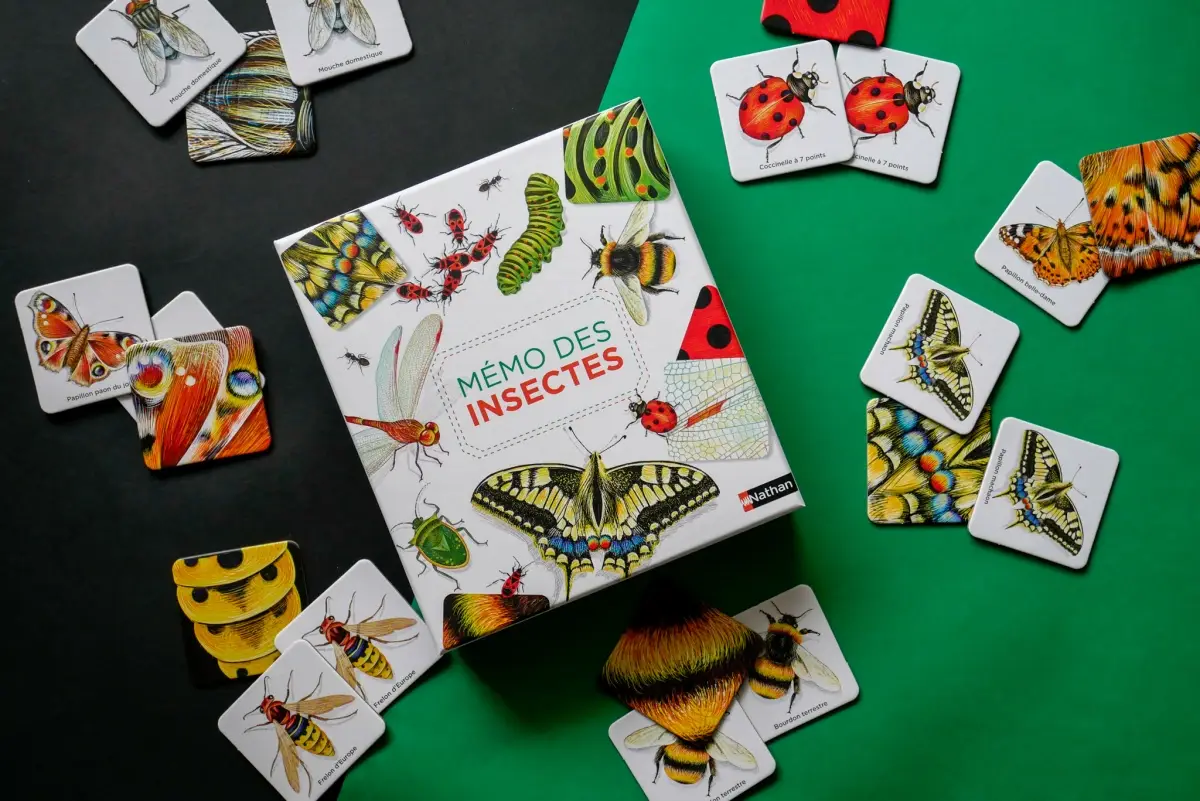 Mémo des insectes - Un jeu de memory pour apprendre en s'amusant en famille - Dès 4 ans - Coffret - 3133092791222 - page-interieure 02