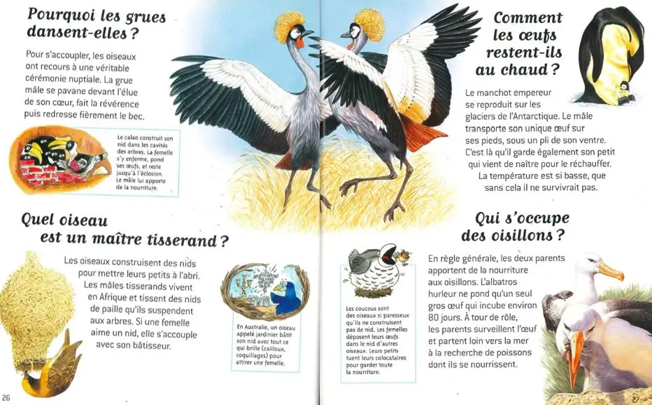 La vie des animaux - Questions/Réponses - doc dès 7 ans - Livre documentaire - 9782092495414 - page-interieure 02