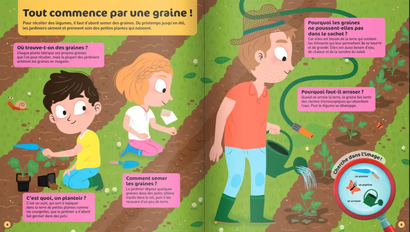 Le potager - Questions/Réponses - doc dès 5 ans - Livre documentaire - 9782092570548 - page-interieure 02