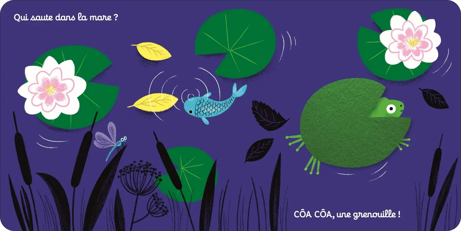 On se cache dans la nuit - livre d'éveil - Dès 6 mois - Livre d'éveil - 9782092589168 - page-interieure 02