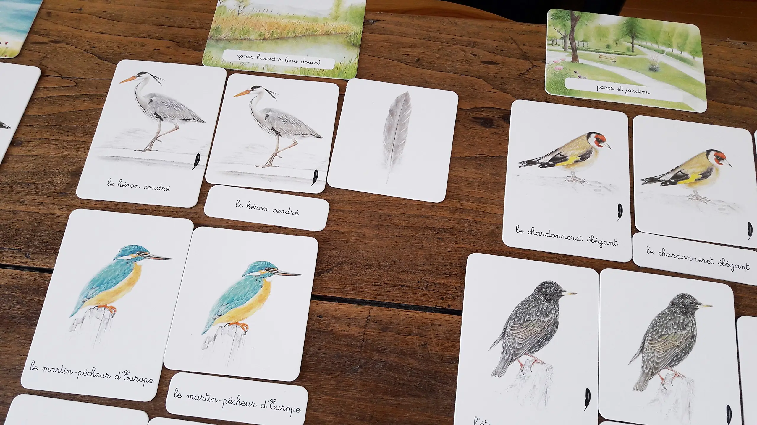 Mon Coffret Montessori des Oiseaux - Dès 3 ans - Coffret - 9782092788387 - page-interieure 02