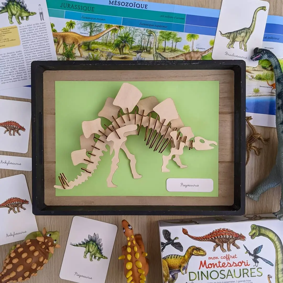 Mon coffret Montessori dinosaures - Dès 5 ans - Coffret - 9782092789544 - page-intérieure 02