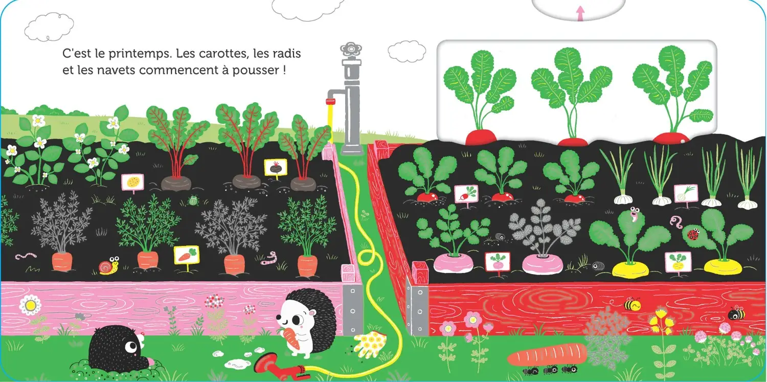 Promenade au potager -  livre d'éveil animé, pour les bébés dès 6 mois - Livre d'éveil - 9782092791561 - page-interieure 02