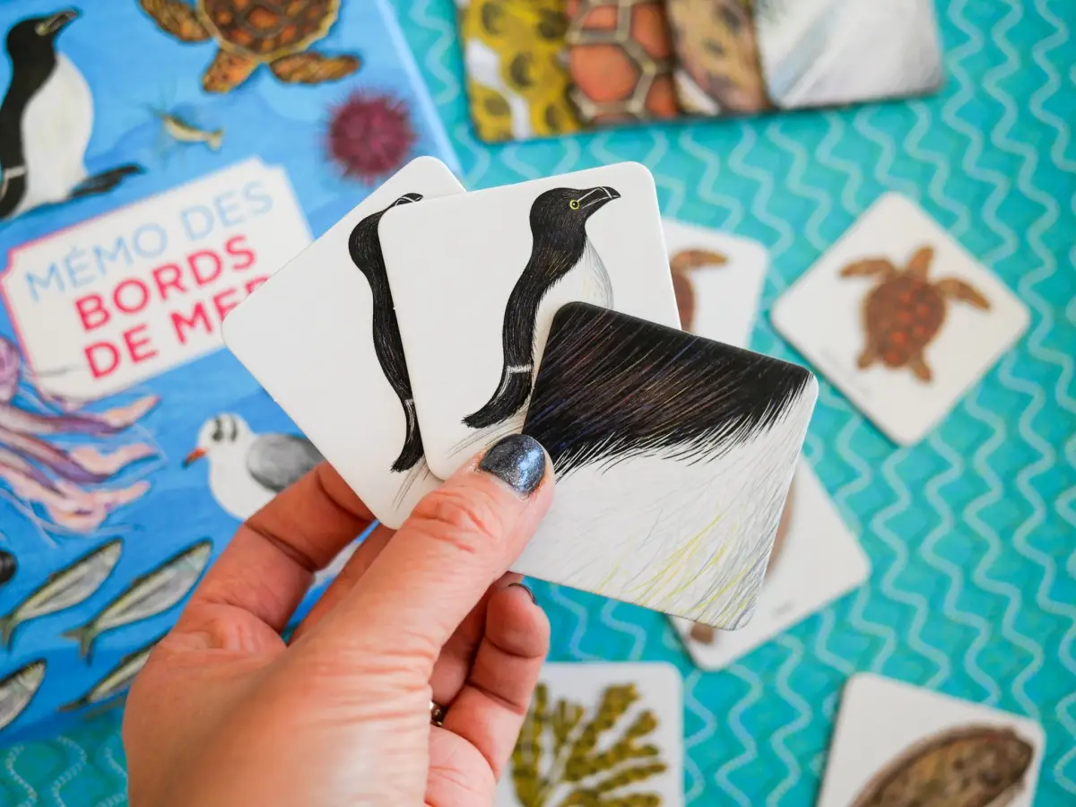 Mémo des bords de mer - Un jeu de memory pour apprendre en s'amusant en famille - Dès 4 ans - Coffret - 9782095013981 - page-interieure 02