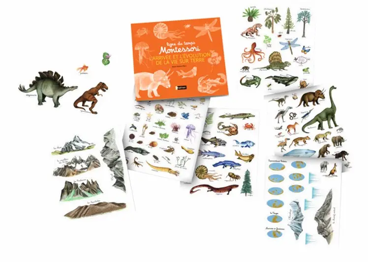 Ligne du temps Montessori - L'arrivée et l'évolution de la vie sur Terre - 2 grandes frises Montessori de 2,5 mètres + stickers repositionnables  - Coffret - 9782095014711 - page-intérieure 02