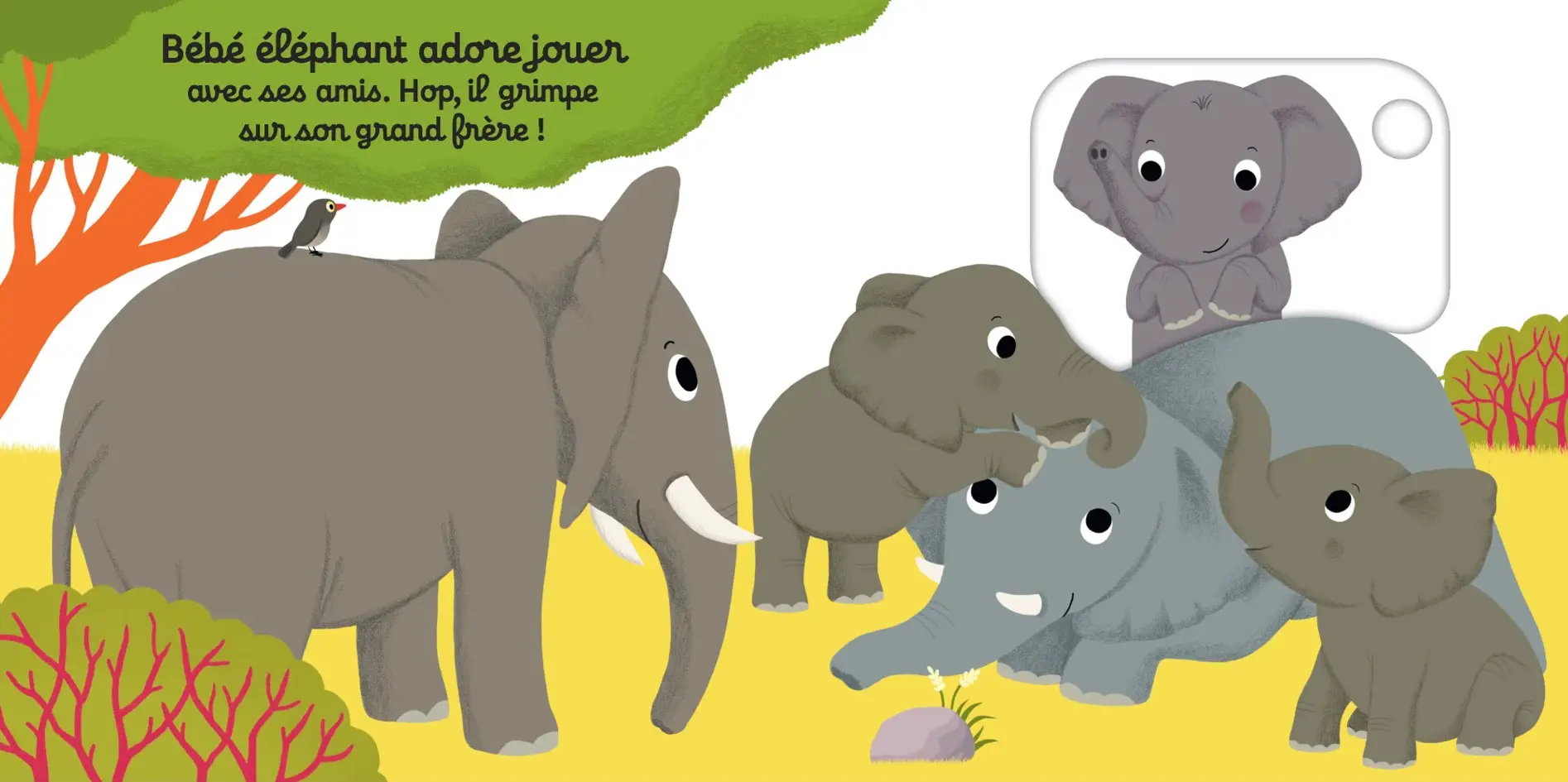 On s'amuse, petit éléphant ? - Histoire animée Kididoc, dès 1 an - Livre documentaire - 9782095019242 - page-interieure 02