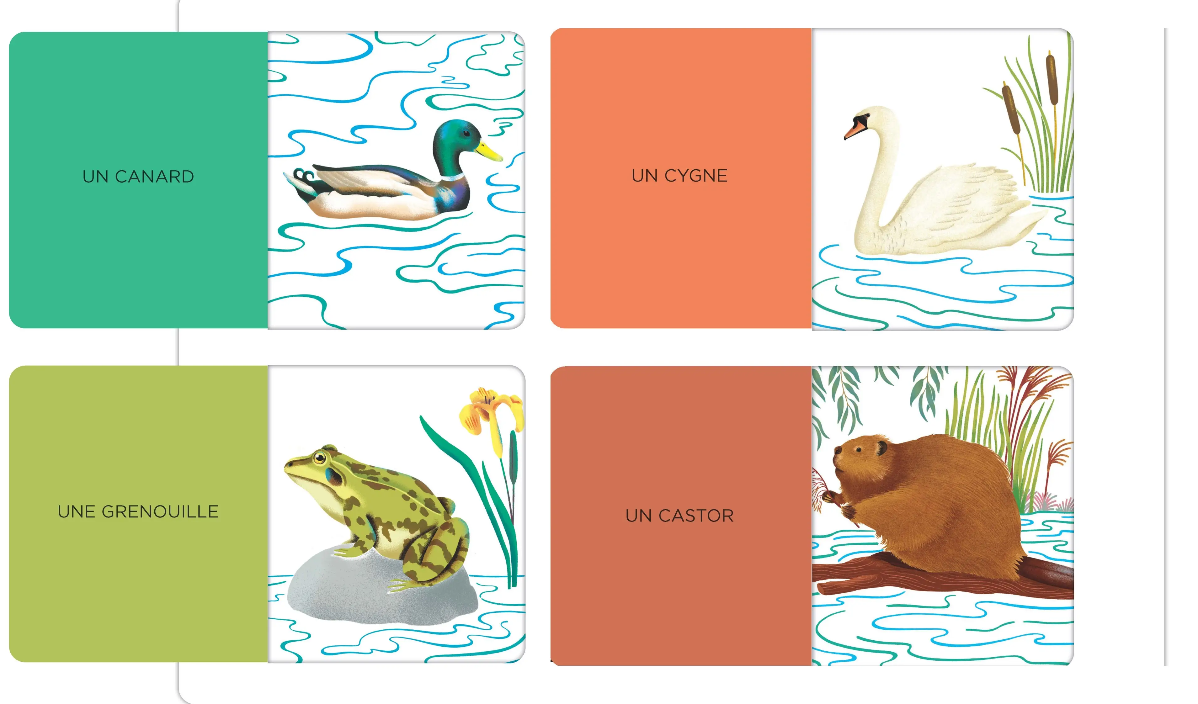 Imagier des animaux - un livre animé avec 48 flaps pour découvrir les animaux - dès 12 mois - Livre d'éveil - 9782095027711 - page-interieure 02