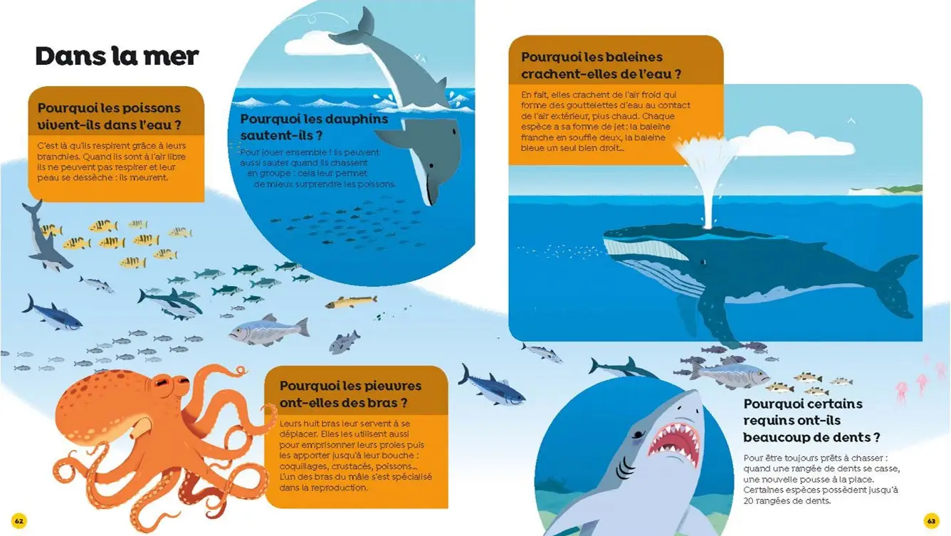 Tous les pourquoi - Questions/réponses dès 5 ans - Livre documentaire - 9782095027742 - page-interieure 02