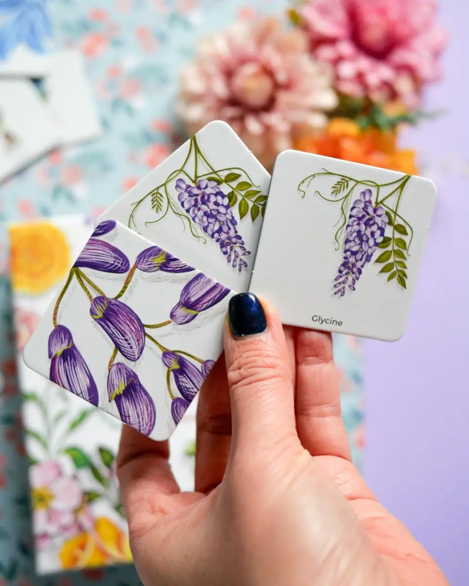 Mémo des fleurs - Un jeu de memory pour apprendre en s'amusant en famille - Dès 4 ans - Coffret - 9782095030575 - page-interieure 02