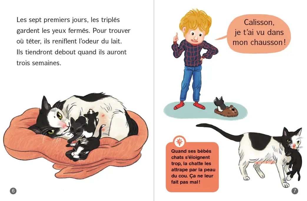 Les docs de Lou : tout sur les chats ! - Lune bleue - Dès 6 ans - Roman - 9782095036546 - page-interieure 02