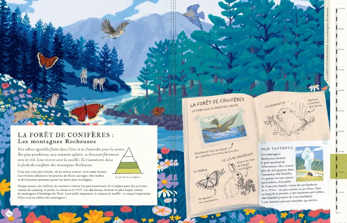 Il y a une montagne dans ce livre - un magnifique album avec des pages panoramiques à explorer à partir de 7 ans - Livre documentaire - 9782095037758 - page-interieure 02
