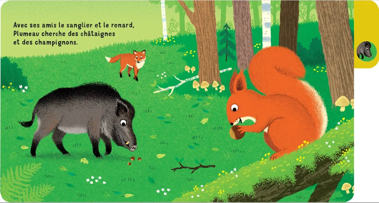 Une journée en forêt - un livre à onglets pour explorer et découvrir la forêt - dès 10 mois - Livre d'éveil - 9782095043827 - page-interieure 02