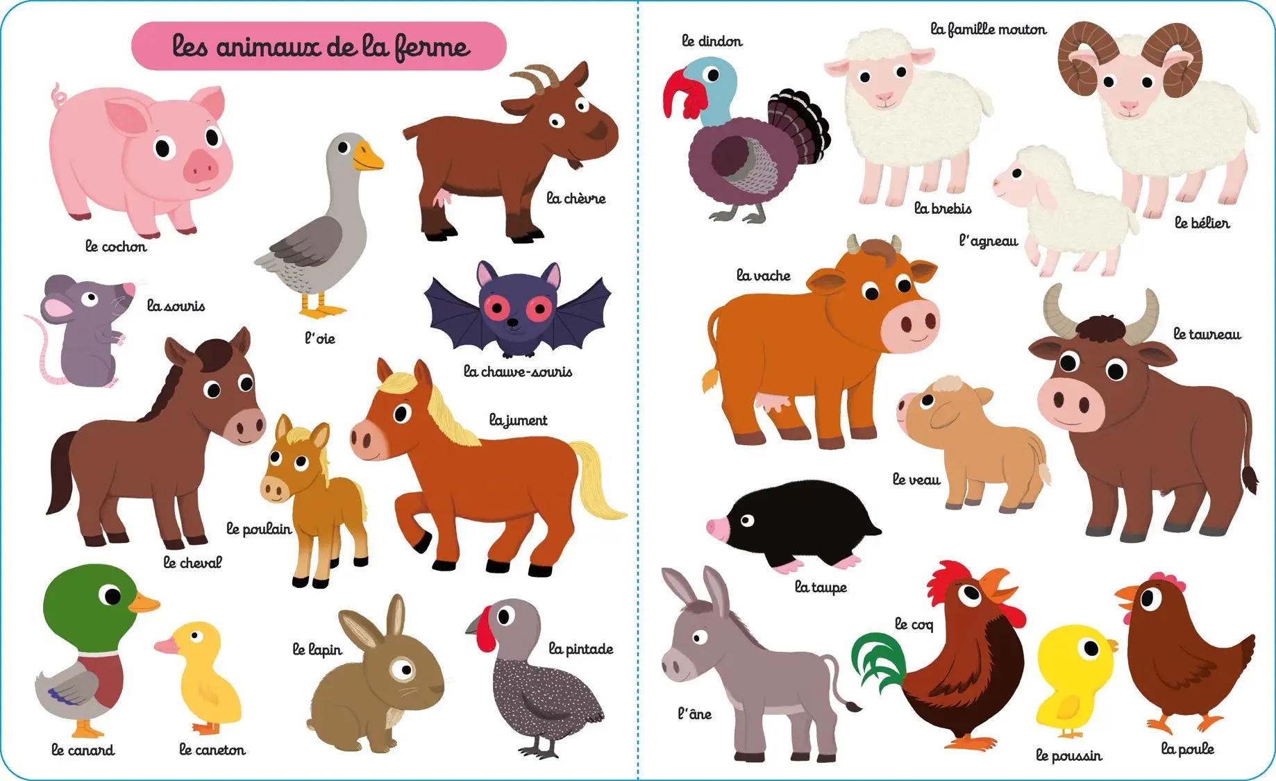 Mon grand imagier des animaux - Plus de 140 animaux à découvrir - dès 1 an - Livre d'éveil - 9782095046033 - page-interieure 02
