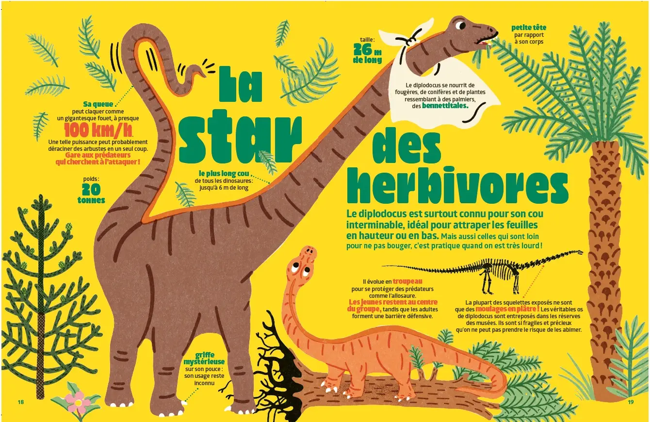 Les dinosaures - Tout ce que tu ne sais pas encore sur les dinosaures ! - BOOST - dès 7 ans - Livre documentaire - 9782095046576 - page-interieure 02