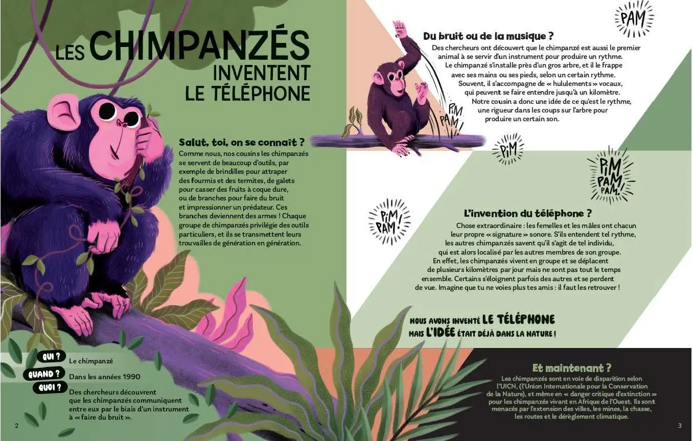 Pas croyable ! - 60 histoires incroyables mais vraies qui défient l'imagination ! - À découvrir dès 8 ans - Livre documentaire - 9782095047313 - page-interieure 02