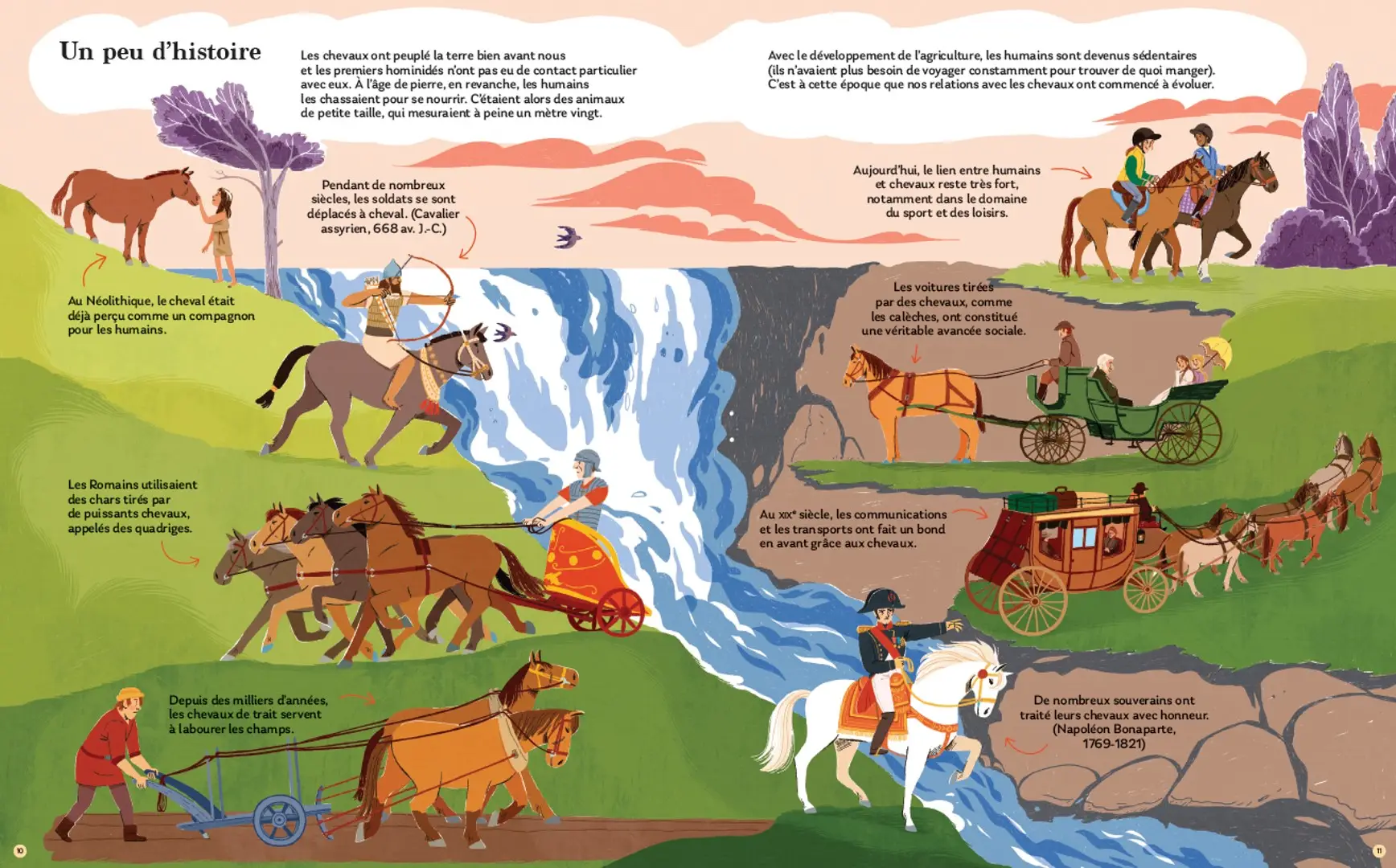 Chevaux - Toutes les races de chevaux réunies dans un seul livre ! - Dès 7 ans - Livre documentaire - 9782095054168 - page-interieure 02