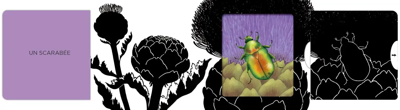 Insectes - Un livre animé avec des silhouettes dans des décors chatoyants - Dès 6 mois - Livre d'éveil - 9782095058241 - page-interieure 02