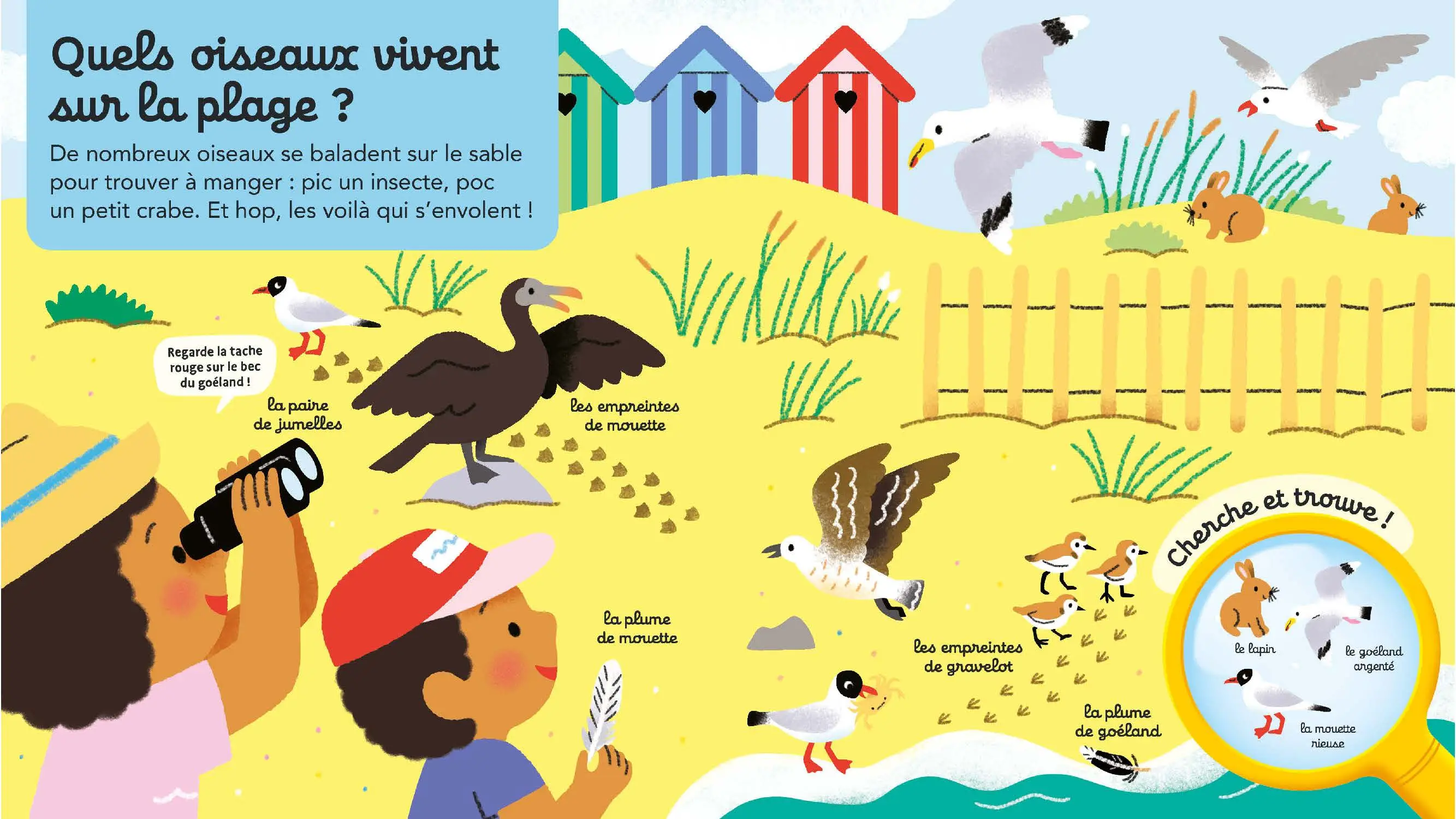Questions/Réponses : La plage - Les secrets de la plage pour les tout-petits - Dès 2 ans - Livre documentaire - 9782095060312 - page-interieure 02