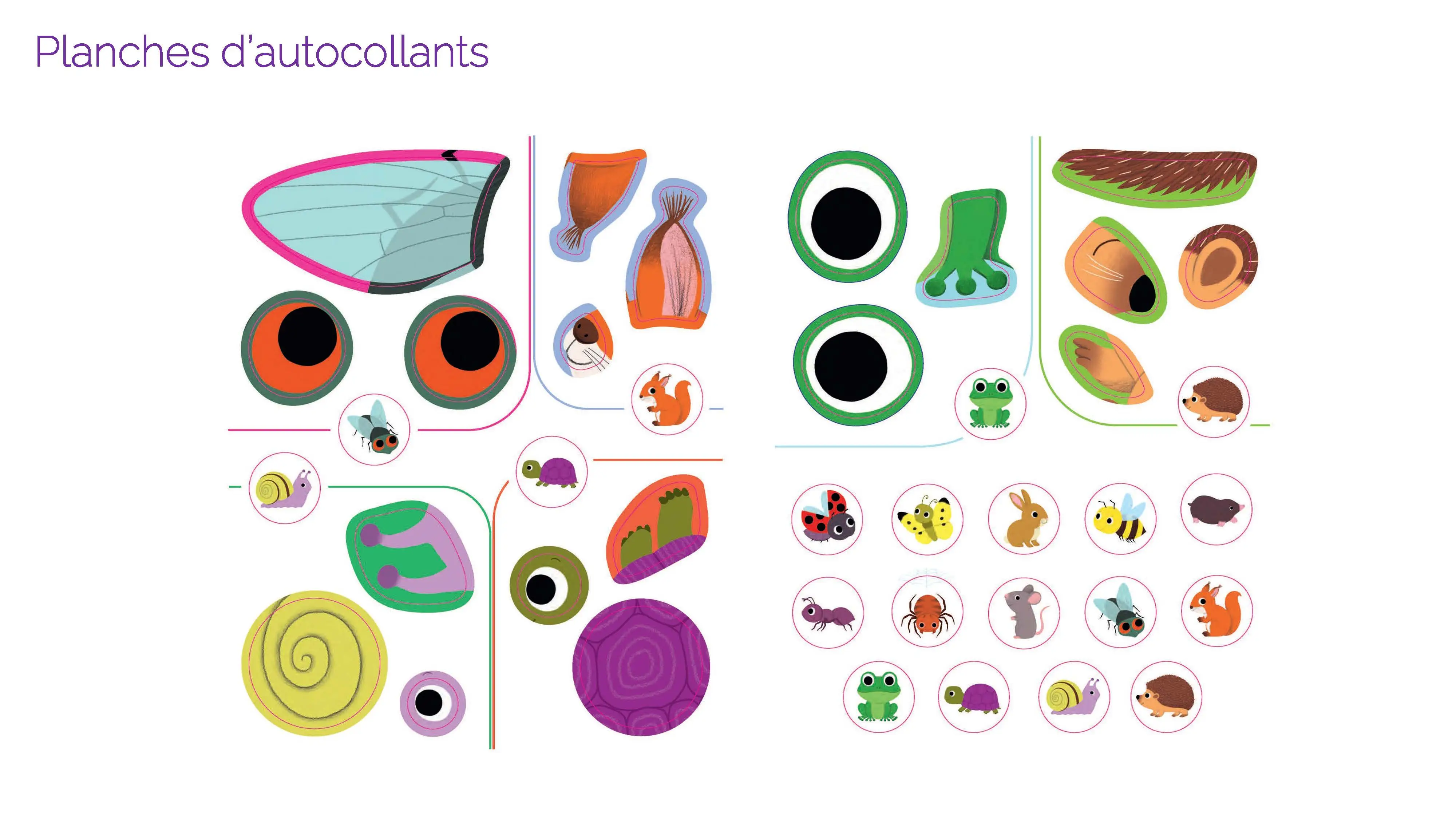 Mes premiers autocollants - Les animaux du jardin - Autocollants repositionnables - Dès 18 mois  - Cahier d'activités - 9782095061500 - page-interieure 02