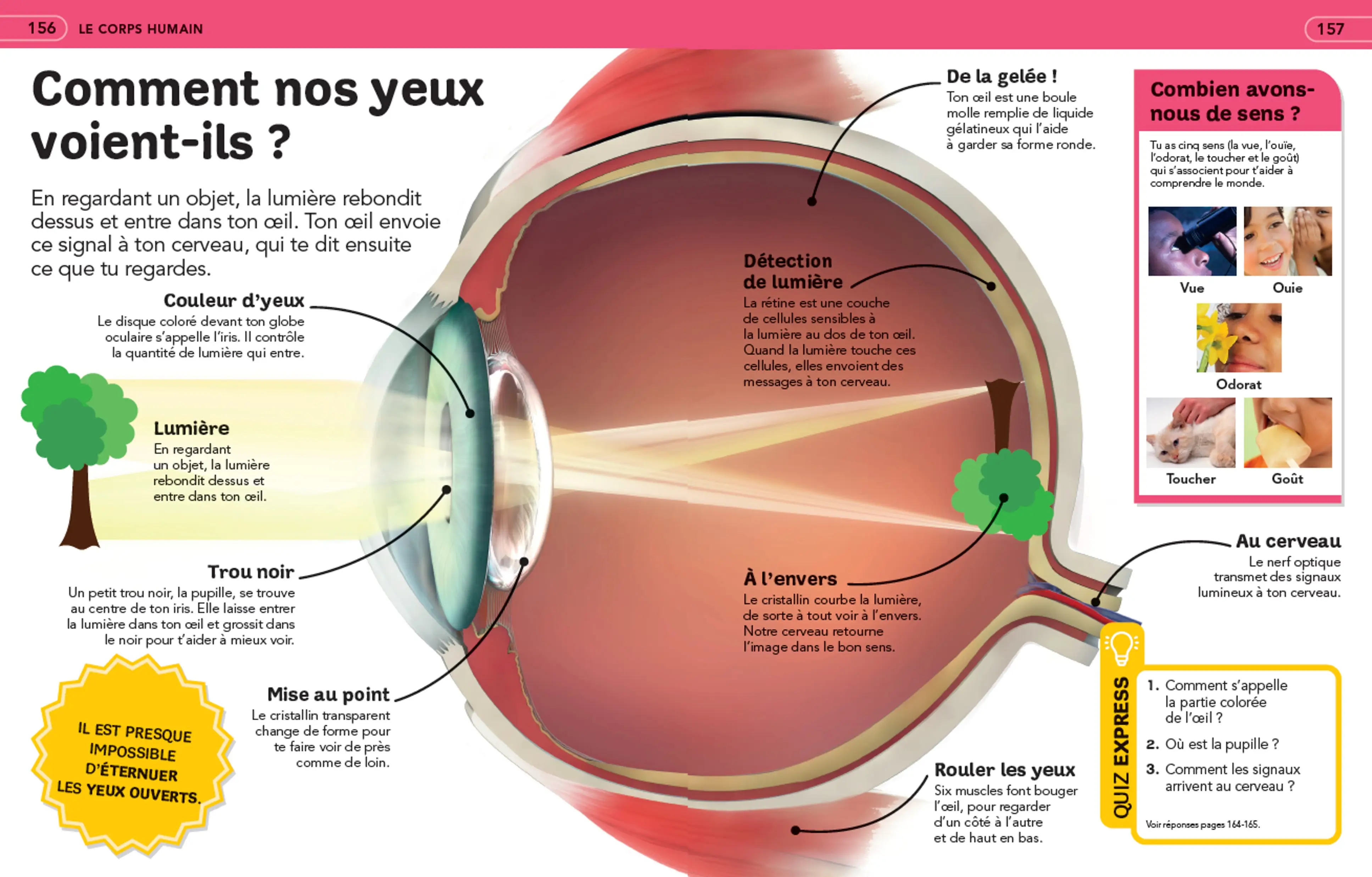 Questions Réponses: La grande Encyclopédie illustrée - 250 questions-réponses pour tout savoir - 7-12 ans - Livre documentaire - 9782095041458 - page-interieure 02 new