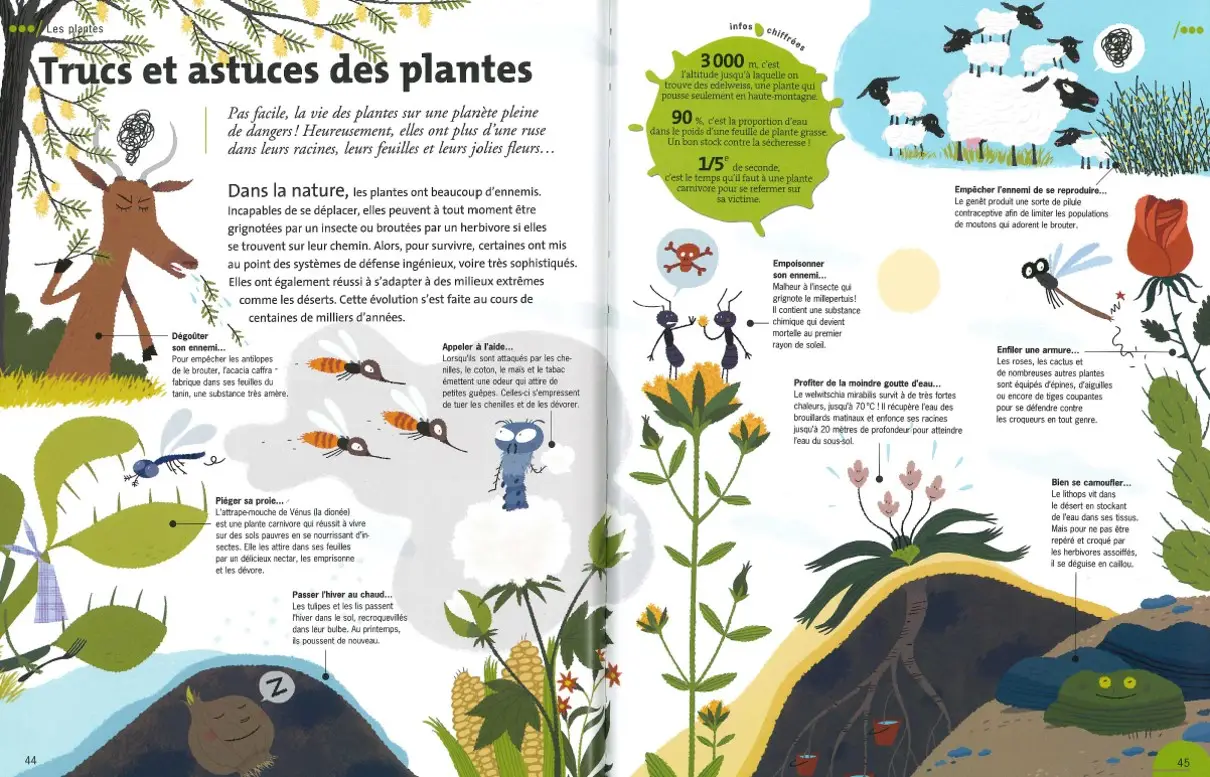 Mon encyclopédie Dokéo - Avec 27 animations en réalité augmentée - 6/9 ans - Livre documentaire - 9782092593264 - page intérieure 03