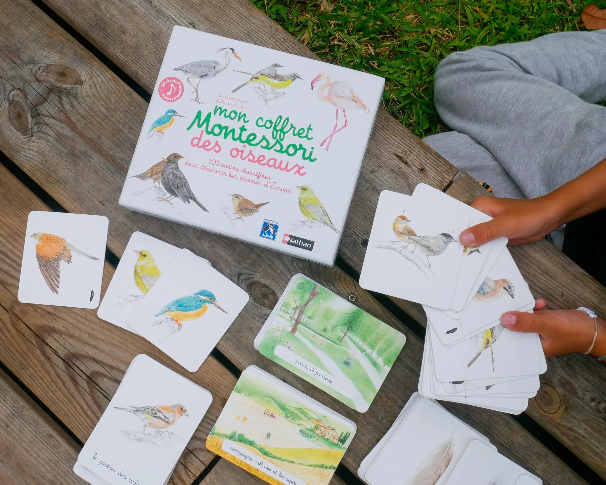 Mon Coffret Montessori des Oiseaux - Dès 3 ans - Coffret - 9782092788387 - page-intérieure 03
