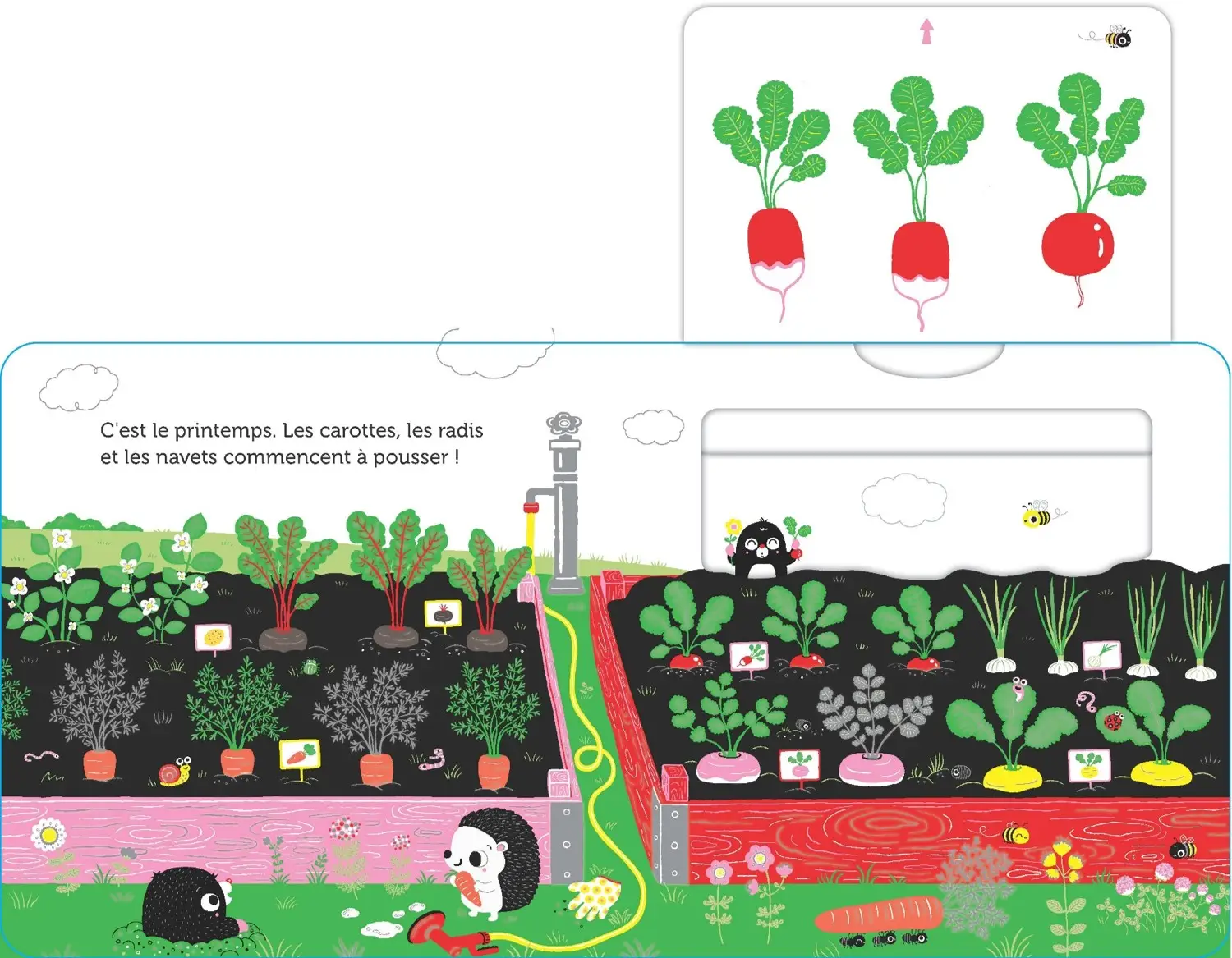 Promenade au potager -  livre d'éveil animé, pour les bébés dès 6 mois - Livre d'éveil - 9782092791561 - page-interieure 03