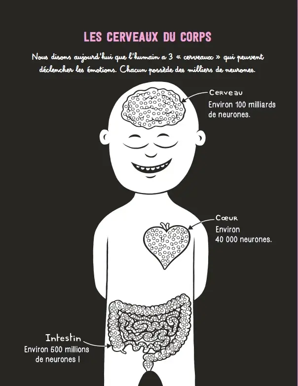 Mes émotions ! - Album documentaire - Dès 6 ans - Livre documentaire - 9782095028039 - page-interieure 03