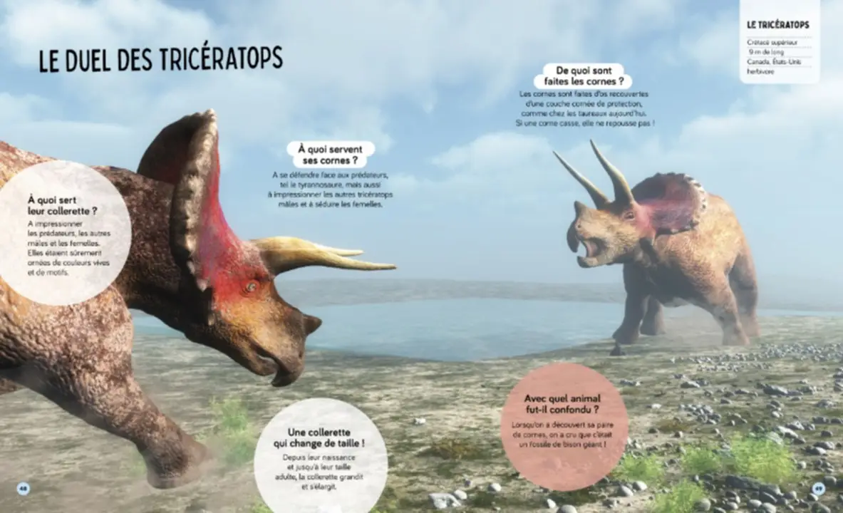 Tous les dinosaures - Questions/Réponses - Dès 5 ans - Livre documentaire - 9782095034948 - page-interieure 03