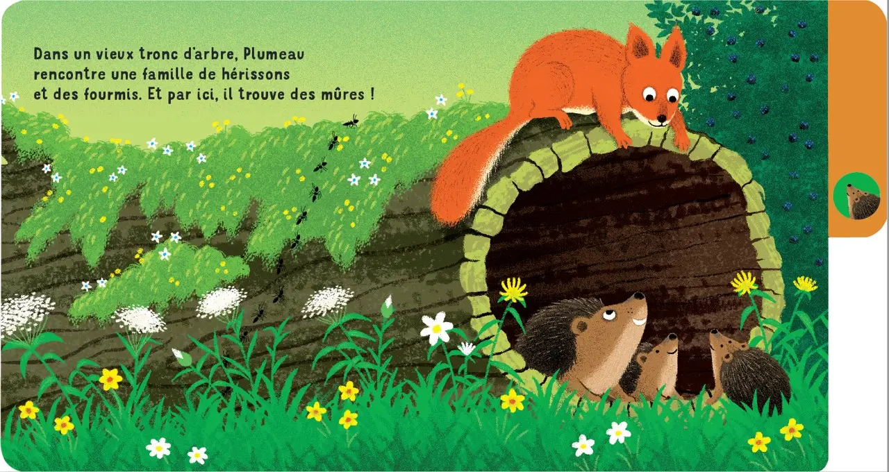Une journée en forêt - un livre à onglets pour explorer et découvrir la forêt - dès 10 mois - Livre d'éveil - 9782095043827 - page-interieure 03