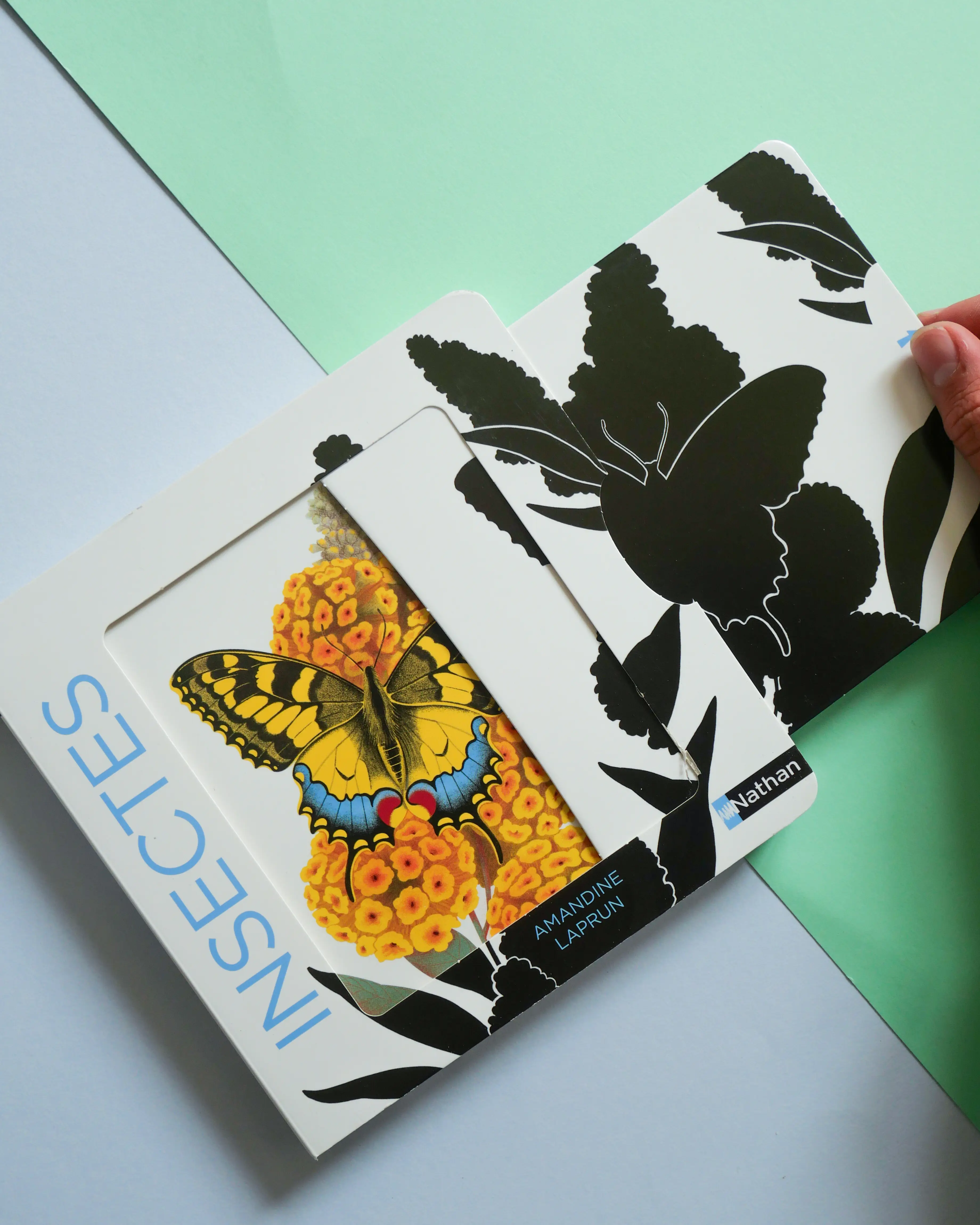 Insectes - Un livre animé avec des silhouettes dans des décors chatoyants - Dès 6 mois - Livre d'éveil - 9782095058241 - page-interieure 03