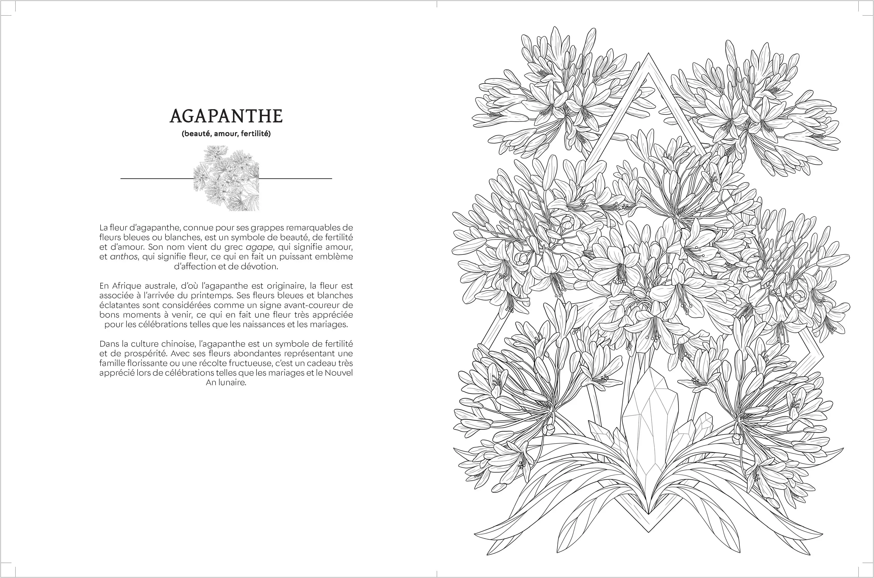 Le langage secret des fleurs - L'art de colorier est aussi dans la nature ! - Adulte - Cahier d'activités - 9782095062507 - page-interieure 03