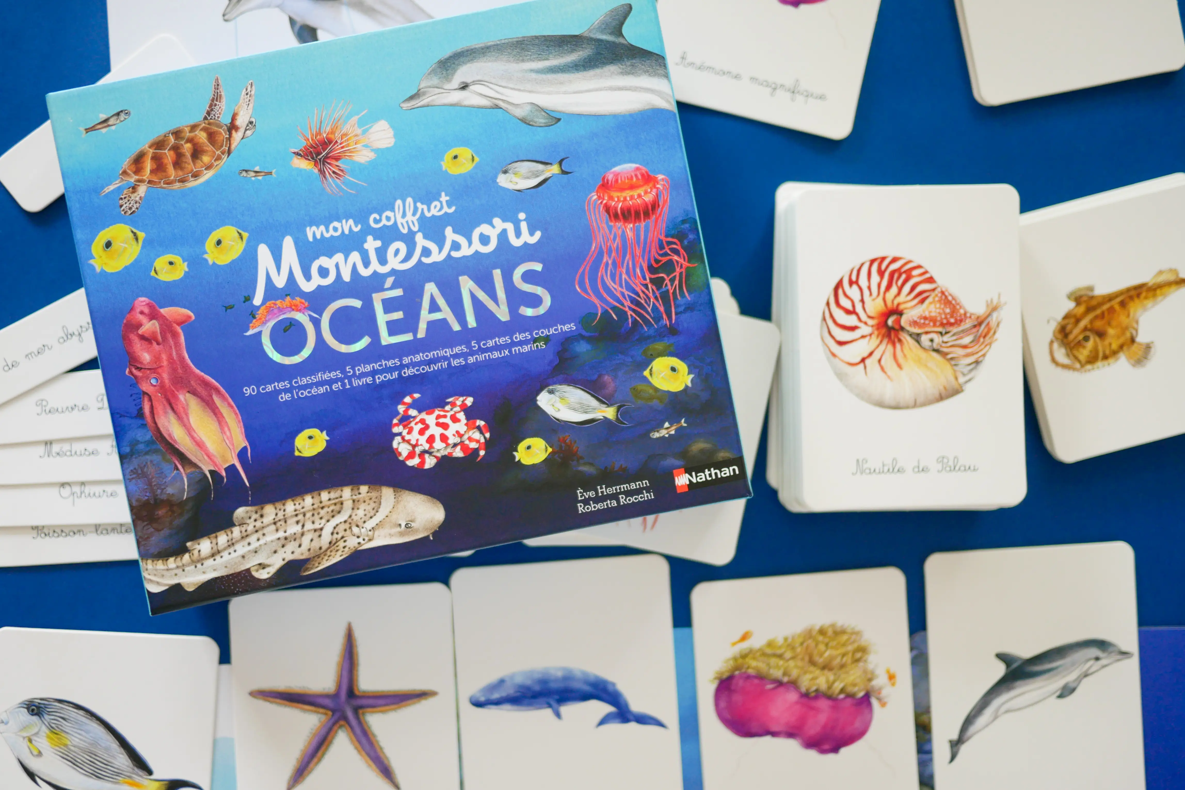 Mon coffret Montessori des océans - Pour découvrir la diversité de la faune océanique dès 3 ans - Coffret - 9782092789735 - page-intérieure 04